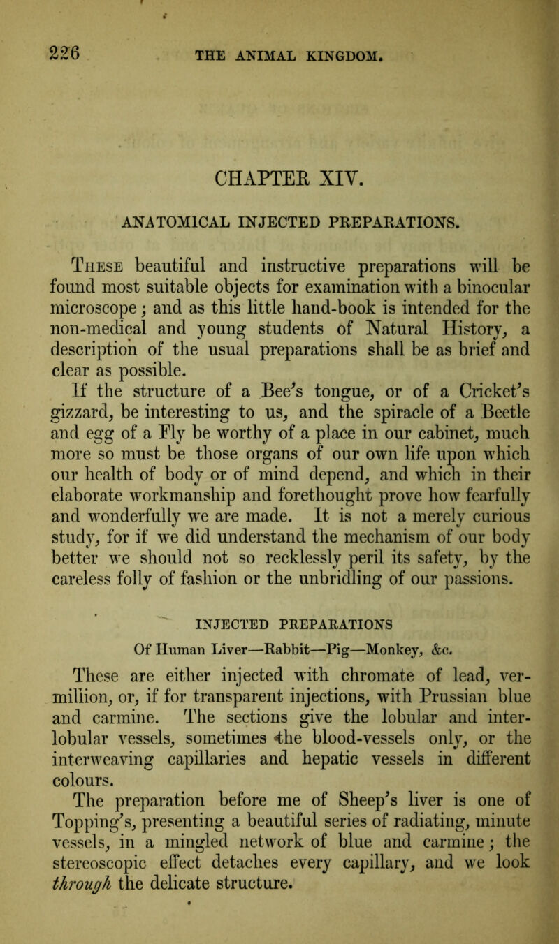 CHAPTER XIY. ANATOMICAL INJECTED PREPARATIONS. These beautiful and instructive preparations will be found most suitable objects for examination with a binocular microscope; and as this little liand-book is intended for the non-medical and young students of Natural History, a description of the usual preparations shall be as brief and clear as possible. If the structure of a Bee's tongue, or of a Cricket's gizzard, be interesting to us, and the spiracle of a Beetle and egg of a Ely be worthy of a place in our cabinet, much more so must be those organs of our own life upon which our health of body or of mind depend, and which in their elaborate workmanship and forethought prove how fearfully and wonderfully we are made. It is not a merely curious study, for if we did understand the mechanism of our body better we should not so recklessly peril its safety, by the careless folly of fashion or the unbridling of our passions. INJECTED PREPARATIONS Of Human Liver—Rabbit—Pig—Monkey, &c. These are either injected with chromate of lead, Ver- million, or, if for transparent injections, with Prussian blue and carmine. The sections give the lobular and inter- lobular vessels, sometimes 4he blood-vessels only, or the interweaving capillaries and hepatic vessels in different colours. The preparation before me of Sheep's liver is one of Topping's, presenting a beautiful series of radiating, minute vessels, in a mingled network of blue and carmine; the stereoscopic effect detaches every capillary, and we look through the delicate structure.