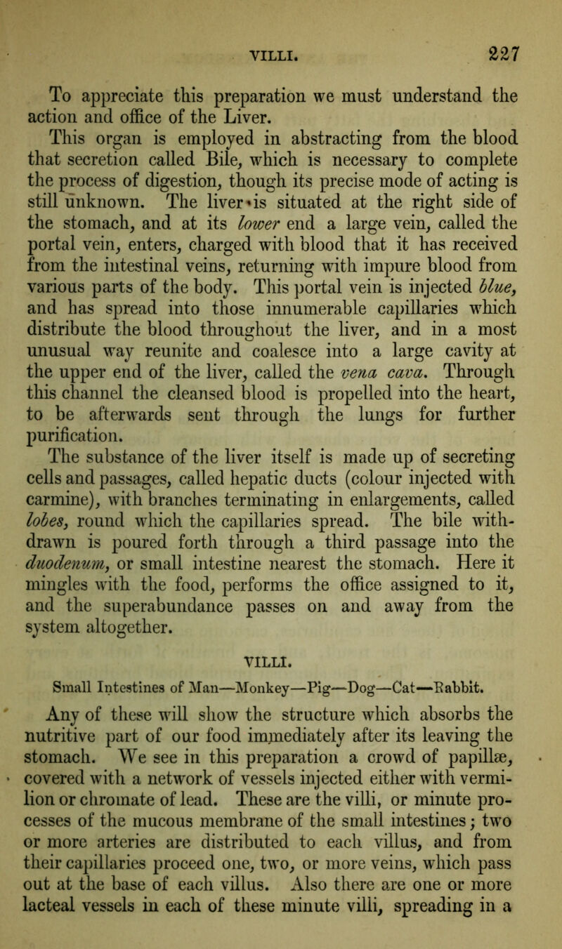 To appreciate this preparation we must understand the action and office of the Liver. This organ is employed in abstracting from the blood that secretion called Bile, which is necessary to complete the process of digestion, though its precise mode of acting is still unknown. The liver*is situated at the right side of the stomach, and at its lower end a large vein, called the portal vein, enters, charged with blood that it has received from the intestinal veins, returning with impure blood from various parts of the body. This portal vein is injected blue, and has spread into those innumerable capillaries which distribute the blood throughout the liver, and in a most unusual way reunite and coalesce into a large cavity at the upper end of the liver, called the vena cava. Through this channel the cleansed blood is propelled into the heart, to be afterwards sent through the lungs for further purification. The substance of the liver itself is made up of secreting cells and passages, called hepatic ducts (colour injected with carmine), with branches terminating in enlargements, called lobes, round which the capillaries spread. The bile with- drawn is poured forth through a third passage into the duodenum, or small intestine nearest the stomach. Here it mingles with the food, performs the office assigned to it, and the superabundance passes on and away from the system altogether. VILLI. Small Intestines of Man—Monkey—Pig—Dog—Cat—Eabblt. Any of these will show the structure which absorbs the nutritive part of our food immediately after its leaving the stomach. We see in this preparation a crowd of papillae, covered with a network of vessels injected either with vermi- lion or chromate of lead. These are the villi, or minute pro- cesses of the mucous membrane of the small intestines; two or more arteries are distributed to each villus, and from their capillaries proceed one, two, or more veins, which pass out at the base of each villus. Also there are one or more lacteal vessels in each of these minute villi, spreading in a