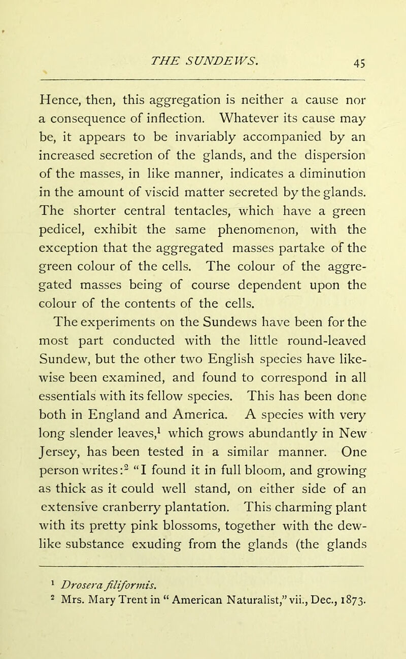 Hence, then, this aggregation is neither a cause nor a consequence of inflection. Whatever its cause may be, it appears to be invariably accompanied by an increased secretion of the glands, and the dispersion of the masses, in like manner, indicates a diminution in the amount of viscid matter secreted by the glands. The shorter central tentacles, which have a green pedicel, exhibit the same phenomenon, with the exception that the aggregated masses partake of the green colour of the cells. The colour of the aggre- gated masses being of course dependent upon the colour of the contents of the cells. The experiments on the Sundews have been for the most part conducted with the little round-leaved Sundew, but the other two English species have like- wise been examined, and found to correspond in all essentials with its fellow species. This has been done both in England and America. A species with very long slender leaves,1 which grows abundantly in New Jersey, has been tested in a similar manner. One person writes:2 “I found it in full bloom, and growing as thick as it could well stand, on either side of an extensive cranberry plantation. This charming plant with its pretty pink blossoms, together with the dew- like substance exuding from the glands (the glands 1 Drosera filiformis. 2 Mrs. Mary Trent in “ American Naturalist,” vii., Dec., 1873.