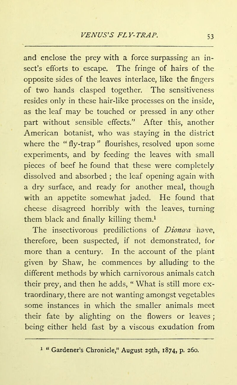 and enclose the prey with a force surpassing an in- sect’s efforts to escape. The fringe of hairs of the opposite sides of the leaves interlace, like the fingers of two hands clasped together. The sensitiveness resides only in these hair-like processes on the inside, as the leaf may be touched or pressed in any other part without sensible effects.” After this, another American botanist, who was staying in the district where the “ fly-trap ” flourishes, resolved upon some experiments, and by feeding the leaves with small pieces of beef he found that these were completely dissolved and absorbed ; the leaf opening again with a dry surface, and ready for another meal, though with an appetite somewhat jaded. He found that cheese disagreed horribly with the leaves, turning them black and finally killing them.1 The insectivorous predilictions of Dioncea have, therefore, been suspected, if not demonstrated, for more than a century. In the account of the plant given by Shaw, he commences by alluding to the different methods by which carnivorous animals catch their prey, and then he adds, “ What is still more ex- traordinary, there are not wanting amongst vegetables some instances in which the smaller animals meet their fate by alighting on the flowers or leaves ; being either held fast by a viscous exudation from 1 “ Gardener’s Chronicle,” August 29th, 1874, p. 260.