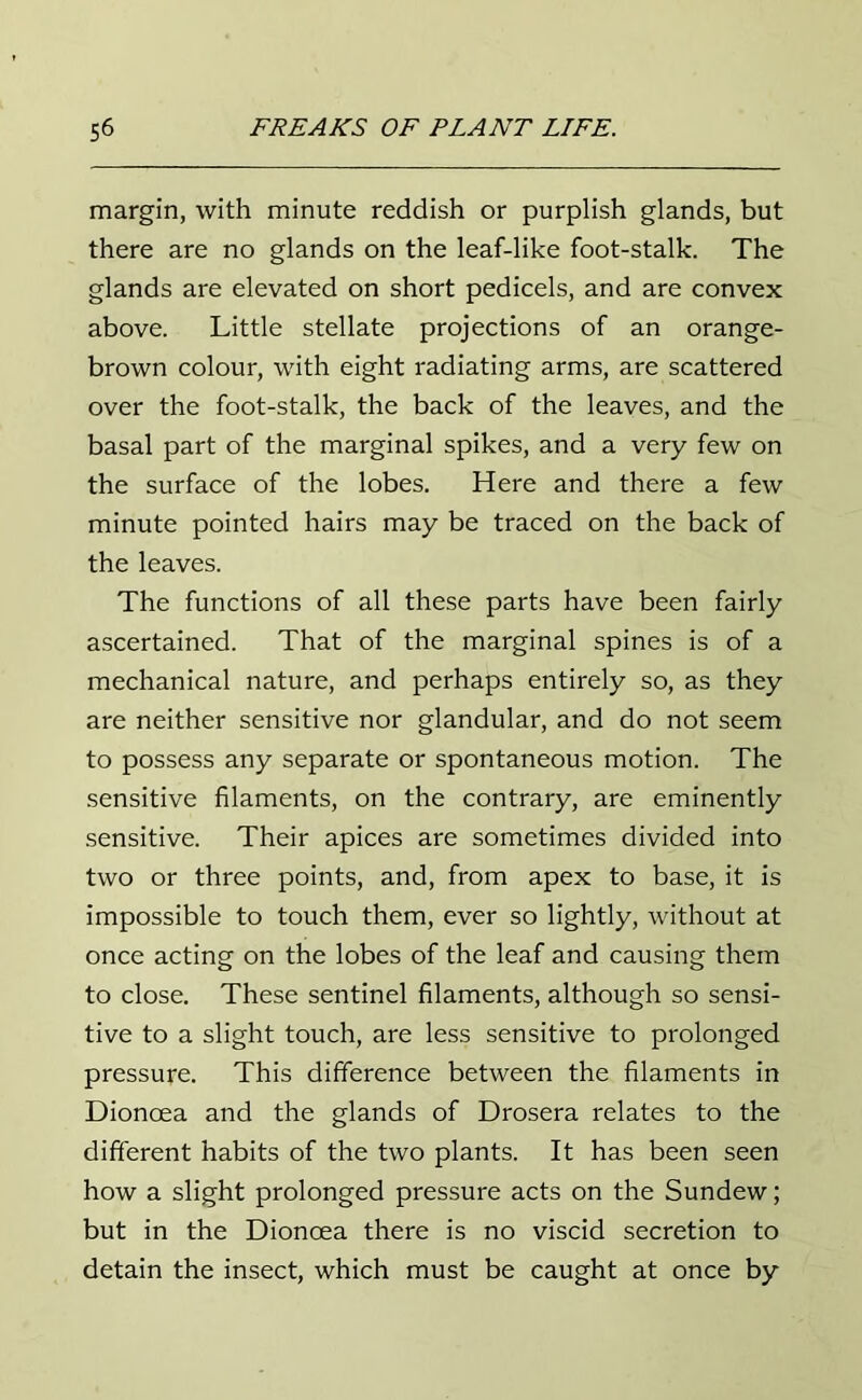 margin, with minute reddish or purplish glands, but there are no glands on the leaf-like foot-stalk. The glands are elevated on short pedicels, and are convex above. Little stellate projections of an orange- brown colour, with eight radiating arms, are scattered over the foot-stalk, the back of the leaves, and the basal part of the marginal spikes, and a very few on the surface of the lobes. Here and there a few minute pointed hairs may be traced on the back of the leaves. The functions of all these parts have been fairly ascertained. That of the marginal spines is of a mechanical nature, and perhaps entirely so, as they are neither sensitive nor glandular, and do not seem to possess any separate or spontaneous motion. The sensitive filaments, on the contrary, are eminently sensitive. Their apices are sometimes divided into two or three points, and, from apex to base, it is impossible to touch them, ever so lightly, without at once acting on the lobes of the leaf and causing them to close. These sentinel filaments, although so sensi- tive to a slight touch, are less sensitive to prolonged pressure. This difference between the filaments in Dionoea and the glands of Drosera relates to the different habits of the two plants. It has been seen how a slight prolonged pressure acts on the Sundew; but in the Dionoea there is no viscid secretion to detain the insect, which must be caught at once by