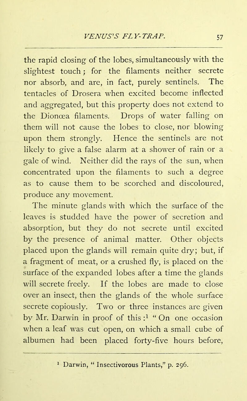 the rapid closing of the lobes, simultaneously with the slightest touch; for the filaments neither secrete nor absorb, and are, in fact, purely sentinels. The tentacles of Drosera when excited become inflected and aggregated, but this property does not extend to the Dionoea filaments. Drops of water falling on them will not cause the lobes to close, nor blowing upon them strongly. Hence the sentinels are not likely to give a false alarm at a shower of rain or a gale of wind. Neither did the rays of the sun, when concentrated upon the filaments to such a degree as to cause them to be scorched and discoloured, produce any movement. The minute glands with which the surface of the leaves is studded have the power of secretion and absorption, but they do not secrete until excited by the presence of animal matter. Other objects placed upon the glands will remain quite dry; but, if a fragment of meat, or a crushed fly, is placed on the surface of the expanded lobes after a time the glands will secrete freely. If the lobes are made to close over an insect, then the glands of the whole surface secrete copiously. Two or three instances are given by Mr. Darwin in proof of this d “ On one occasion when a leaf was cut open, on which a small cube of albumen had been placed forty-five hours before,