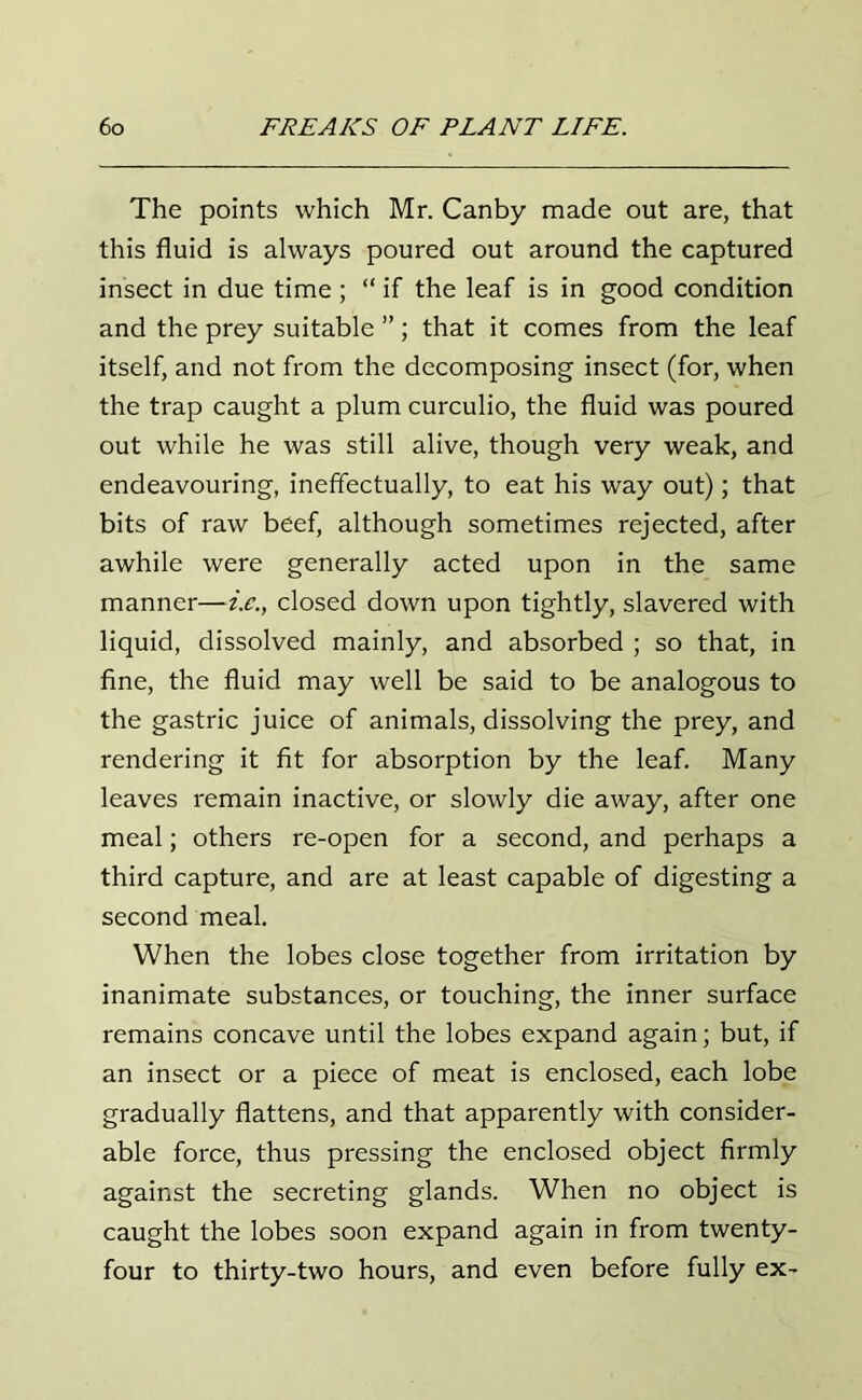 The points which Mr. Canby made out are, that this fluid is always poured out around the captured insect in due time ; “ if the leaf is in good condition and the prey suitable ”; that it comes from the leaf itself, and not from the decomposing insect (for, when the trap caught a plum curculio, the fluid was poured out while he was still alive, though very weak, and endeavouring, ineffectually, to eat his way out); that bits of raw beef, although sometimes rejected, after awhile were generally acted upon in the same manner—i.c., closed down upon tightly, slavered with liquid, dissolved mainly, and absorbed ; so that, in fine, the fluid may well be said to be analogous to the gastric juice of animals, dissolving the prey, and rendering it fit for absorption by the leaf. Many leaves remain inactive, or slowly die away, after one meal; others re-open for a second, and perhaps a third capture, and are at least capable of digesting a second meal. When the lobes close together from irritation by inanimate substances, or touching, the inner surface remains concave until the lobes expand again; but, if an insect or a piece of meat is enclosed, each lobe gradually flattens, and that apparently with consider- able force, thus pressing the enclosed object firmly against the secreting glands. When no object is caught the lobes soon expand again in from twenty- four to thirty-two hours, and even before fully ex-