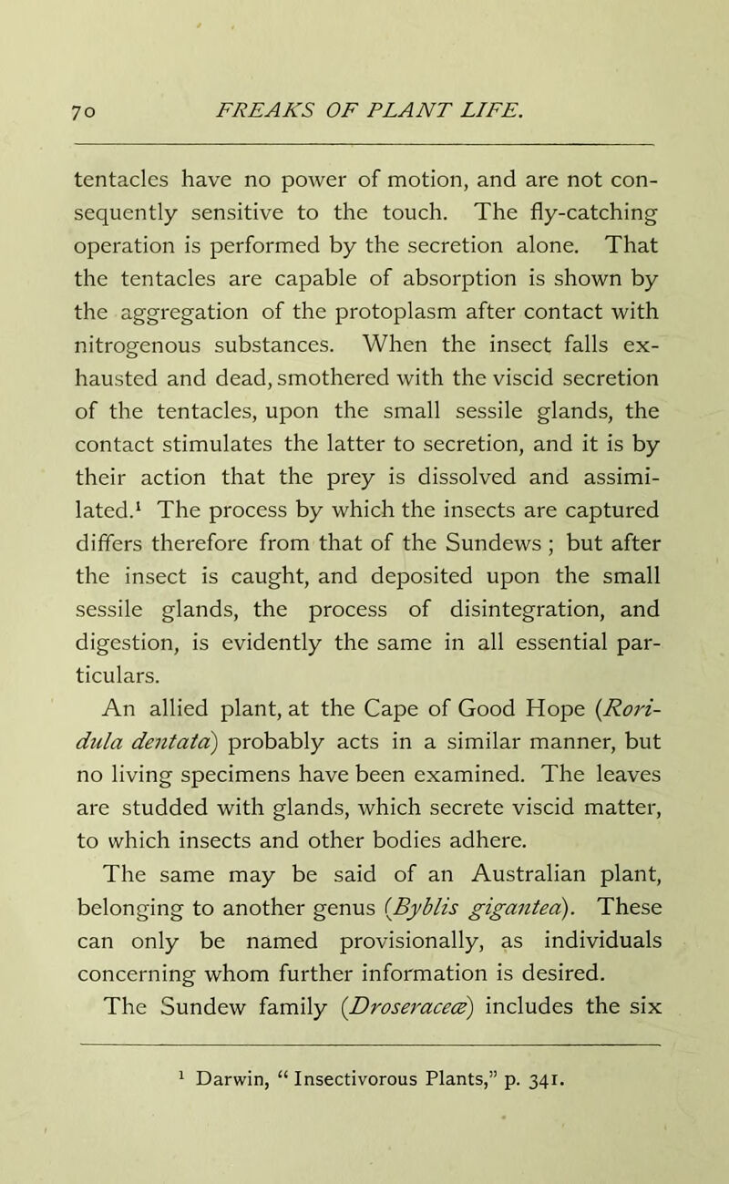 tentacles have no power of motion, and are not con- sequently sensitive to the touch. The fly-catching operation is performed by the secretion alone. That the tentacles are capable of absorption is shown by the aggregation of the protoplasm after contact with nitrogenous substances. When the insect falls ex- hausted and dead, smothered with the viscid secretion of the tentacles, upon the small sessile glands, the contact stimulates the latter to secretion, and it is by their action that the prey is dissolved and assimi- lated.1 The process by which the insects are captured differs therefore from that of the Sundews ; but after the insect is caught, and deposited upon the small sessile glands, the process of disintegration, and digestion, is evidently the same in all essential par- ticulars. An allied plant, at the Cape of Good Hope (Rori- dula dentata) probably acts in a similar manner, but no living specimens have been examined. The leaves are studded with glands, which secrete viscid matter, to which insects and other bodies adhere. The same may be said of an Australian plant, belonging to another genus (Byblis gigantea). These can only be named provisionally, as individuals concerning whom further information is desired. The Sundew family (Droseracetz) includes the six 1 Darwin, “ Insectivorous Plants,” p. 341.