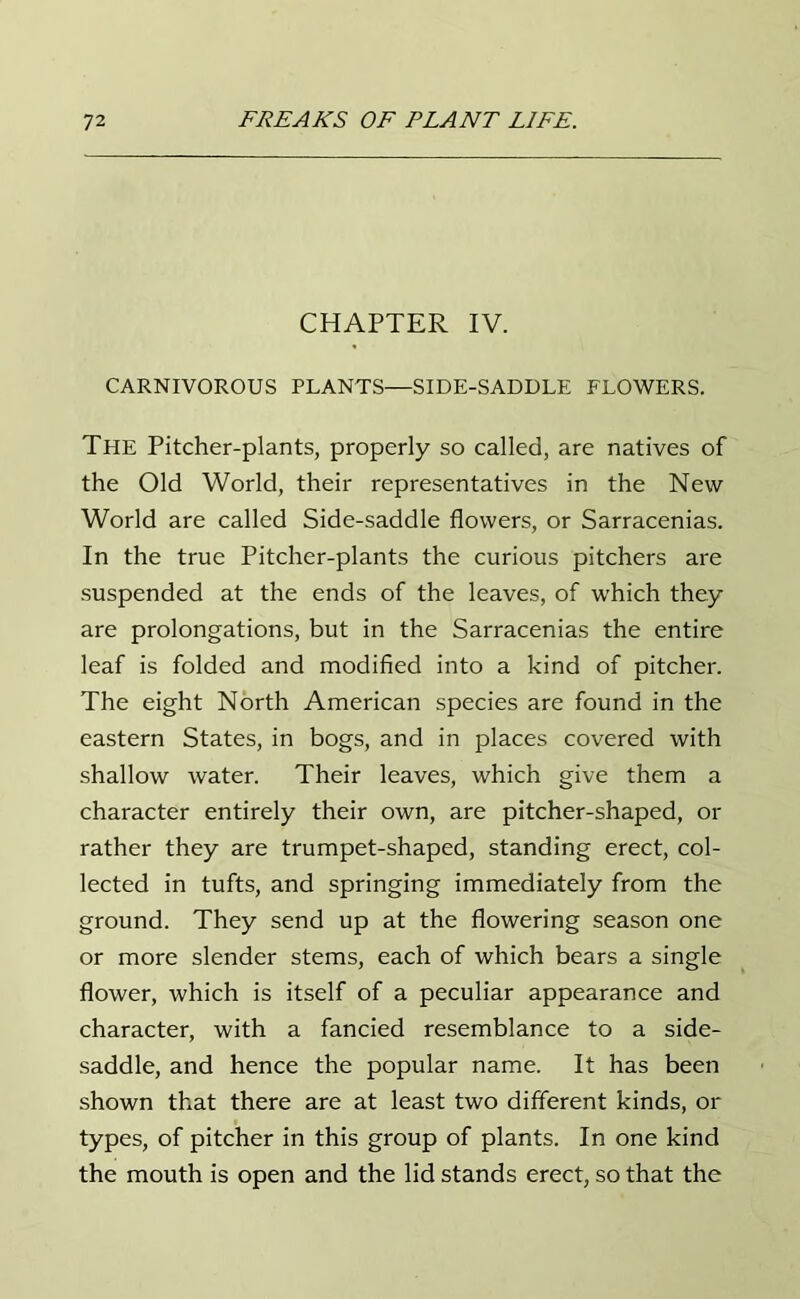 CHAPTER IV. CARNIVOROUS PLANTS—SIDE-SADDLE FLOWERS. The Pitcher-plants, properly so called, are natives of the Old World, their representatives in the New World are called Side-saddle flowers, or Sarracenias. In the true Pitcher-plants the curious pitchers are suspended at the ends of the leaves, of which they are prolongations, but in the Sarracenias the entire leaf is folded and modified into a kind of pitcher. The eight North American species are found in the eastern States, in bogs, and in places covered with shallow water. Their leaves, which give them a character entirely their own, are pitcher-shaped, or rather they are trumpet-shaped, standing erect, col- lected in tufts, and springing immediately from the ground. They send up at the flowering season one or more slender stems, each of which bears a single flower, which is itself of a peculiar appearance and character, with a fancied resemblance to a side- saddle, and hence the popular name. It has been shown that there are at least two different kinds, or types, of pitcher in this group of plants. In one kind the mouth is open and the lid stands erect, so that the