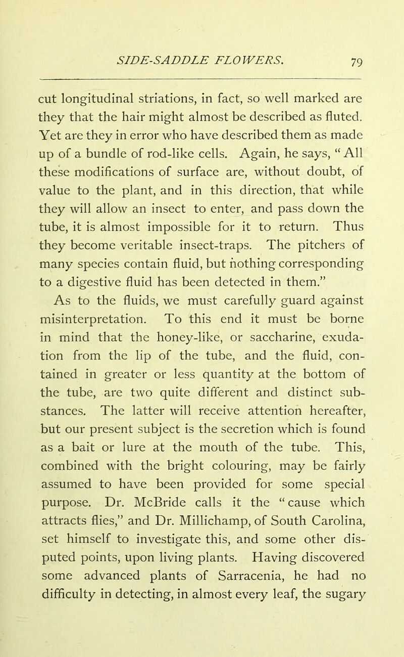 cut longitudinal striations, in fact, so well marked are they that the hair might almost be described as fluted. Yet are they in error who have described them as made up of a bundle of rod-like cells. Again, he says, “ All these modifications of surface are, without doubt, of value to the plant, and in this direction, that while they will allow an insect to enter, and pass down the tube, it is almost impossible for it to return. Thus they become veritable insect-traps. The pitchers of many species contain fluid, but nothing corresponding to a digestive fluid has been detected in them.” As to the fluids, we must carefully guard against misinterpretation. To this end it must be borne in mind that the honey-like, or saccharine, exuda- tion from the lip of the tube, and the fluid, con- tained in greater or less quantity at the bottom of the tube, are two quite different and distinct sub- stances. The latter will receive attention hereafter, but our present subject is the secretion which is found as a bait or lure at the mouth of the tube. This, combined with the bright colouring, may be fairly assumed to have been provided for some special purpose. Dr. McBride calls it the “ cause which attracts flies,” and Dr. Millichamp, of South Carolina, set himself to investigate this, and some other dis- puted points, upon living plants. Having discovered some advanced plants of Sarracenia, he had no difficulty in detecting, in almost every leaf, the sugary