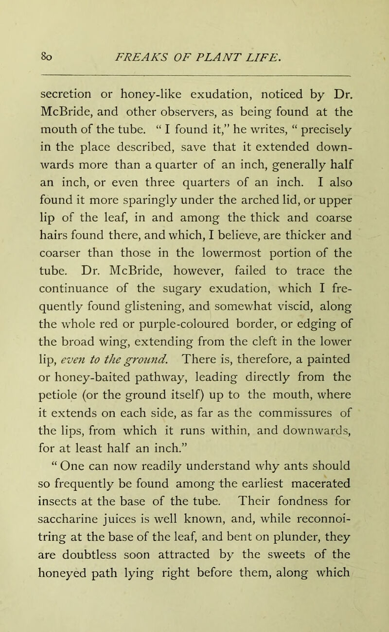 secretion or honey-like exudation, noticed by Dr. McBride, and other observers, as being found at the mouth of the tube. “ I found it,” he writes, “ precisely in the place described, save that it extended down- wards more than a quarter of an inch, generally half an inch, or even three quarters of an inch. I also found it more sparingly under the arched lid, or upper lip of the leaf, in and among the thick and coarse hairs found there, and which, I believe, are thicker and coarser than those in the lowermost portion of the tube. Dr. McBride, however, failed to trace the continuance of the sugary exudation, which I fre- quently found glistening, and somewhat viscid, along the whole red or purple-coloured border, or edging of the broad wing, extending from the cleft in the lower lip, even to the ground. There is, therefore, a painted or honey-baited pathway, leading directly from the petiole (or the ground itself) up to the mouth, where it extends on each side, as far as the commissures of the lips, from which it runs within, and downwards, for at least half an inch.” “ One can now readily understand why ants should so frequently be found among the earliest macerated insects at the base of the tube. Their fondness for saccharine juices is well known, and, while reconnoi- tring at the base of the leaf, and bent on plunder, they are doubtless soon attracted by the sweets of the honeyed path lying right before them, along which