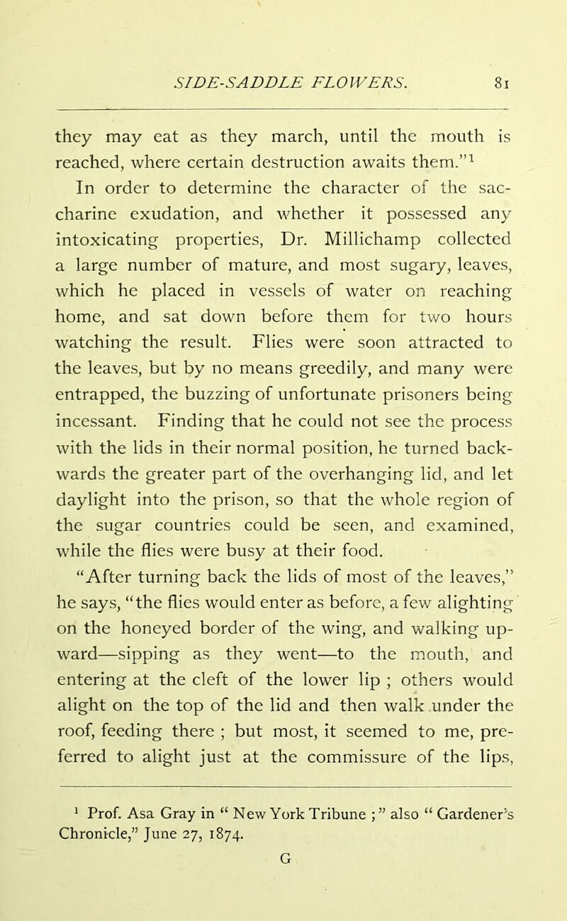 they may eat as they march, until the mouth is reached, where certain destruction awaits them.”1 In order to determine the character of the sac- charine exudation, and whether it possessed any intoxicating properties, Dr. Millichamp collected a large number of mature, and most sugary, leaves, which he placed in vessels of water on reaching home, and sat down before them for two hours watching the result. Flies were soon attracted to the leaves, but by no means greedily, and many were entrapped, the buzzing of unfortunate prisoners being incessant. Finding that he could not see the process with the lids in their normal position, he turned back- wards the greater part of the overhanging lid, and let daylight into the prison, so that the whole region of the sugar countries could be seen, and examined, while the flies were busy at their food. “After turning back the lids of most of the leaves,” he says, “the flies would enter as before, a few alighting on the honeyed border of the wing, and walking up- ward—sipping as they went—to the mouth, and entering at the cleft of the lower lip ; others would alight on the top of the lid and then walk under the roof, feeding there ; but most, it seemed to me, pre- ferred to alight just at the commissure of the lips, 1 Prof. Asa Gray in “ New York Tribune ; ” also “ Gardener^ Chronicle,” June 27, 1874. G