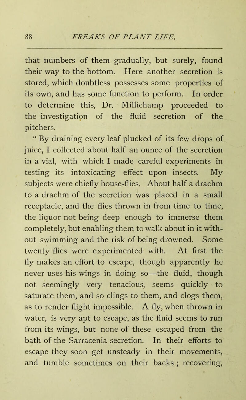 that numbers of them gradually, but surely, found their way to the bottom. Here another secretion is stored, which doubtless possesses some properties of its own, and has some function to perform. In order to determine this, Dr. Millichamp proceeded to the investigation of the fluid secretion of the pitchers. “ By draining every leaf plucked of its few drops of juice, I collected about half an ounce of the secretion in a vial, with which I made careful experiments in testing its intoxicating effect upon insects. My subjects were chiefly house-flies. About half a drachm to a drachm of the secretion was placed in a small receptacle, and the flies thrown in from time to time, the liquor not being deep enough to immerse them completely, but enabling them to walk about in it with- out swimming and the risk of being drowned. Some twenty flies were experimented with. At first the fly makes an effort to escape, though apparently he never uses his wings in doing so—the fluid, though not seemingly very tenacious, seems quickly to saturate them, and so clings to them, and clogs them, as to render flight impossible. A fly, when thrown in water, is very apt to escape, as the fluid seems to run from its wings, but none of these escaped from the bath of the Sarracenia secretion. In their efforts to escape they soon get unsteady in their movements, and tumble sometimes on their backs ; recovering,