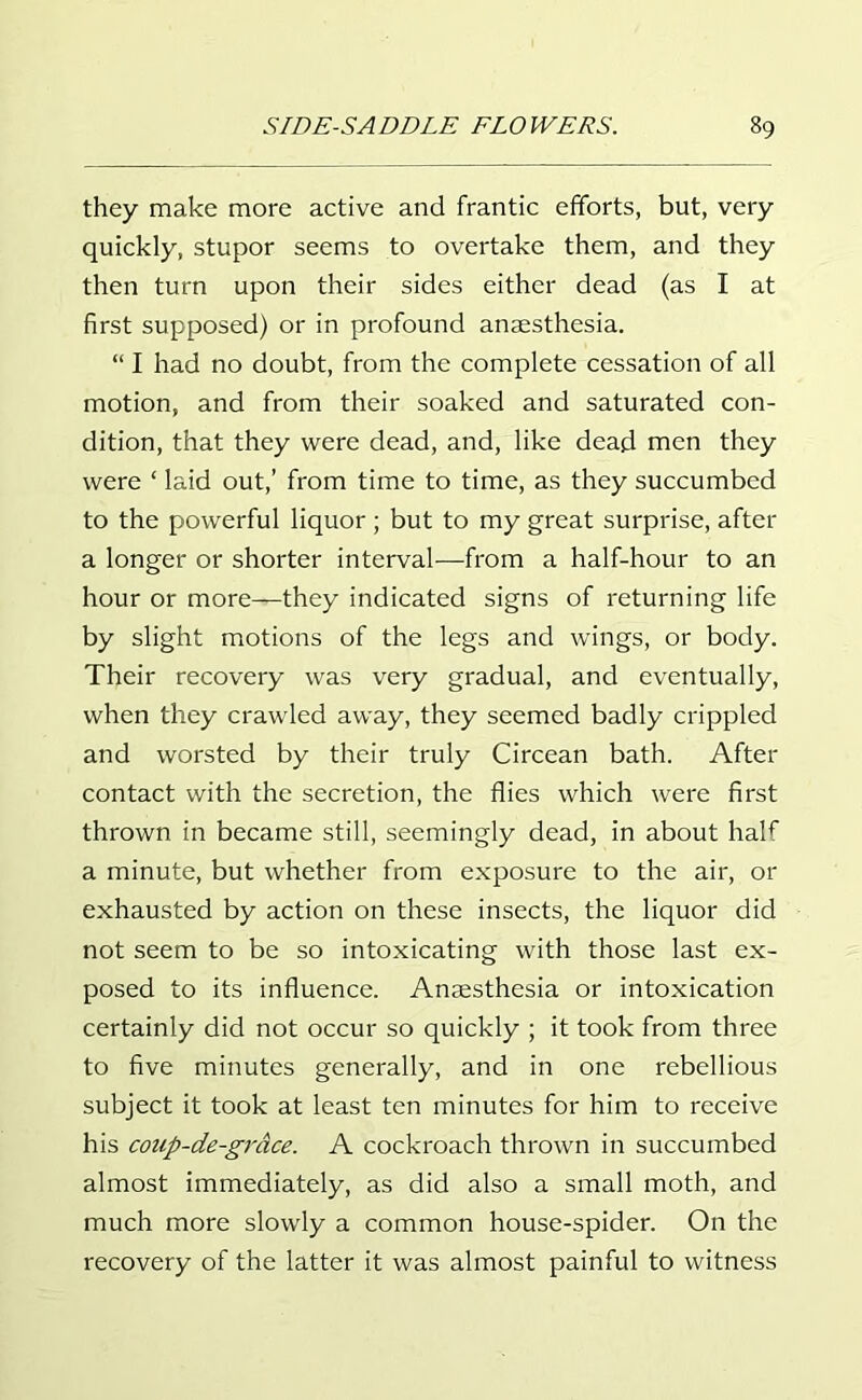 they make more active and frantic efforts, but, very quickly, stupor seems to overtake them, and they then turn upon their sides either dead (as I at first supposed) or in profound anaesthesia. “ I had no doubt, from the complete cessation of all motion, and from their soaked and saturated con- dition, that they were dead, and, like dead men they were ‘ laid out,’ from time to time, as they succumbed to the powerful liquor ; but to my great surprise, after a longer or shorter interval—from a half-hour to an hour or more—they indicated signs of returning life by slight motions of the legs and wings, or body. Their recovery was very gradual, and eventually, when they crawled away, they seemed badly crippled and worsted by their truly Circean bath. After contact with the secretion, the flies which were first thrown in became still, seemingly dead, in about half a minute, but whether from exposure to the air, or exhausted by action on these insects, the liquor did not seem to be so intoxicating with those last ex- posed to its influence. Anaesthesia or intoxication certainly did not occur so quickly ; it took from three to five minutes generally, and in one rebellious subject it took at least ten minutes for him to receive his conp-de-grace. A cockroach thrown in succumbed almost immediately, as did also a small moth, and much more slowly a common house-spider. On the recovery of the latter it was almost painful to witness