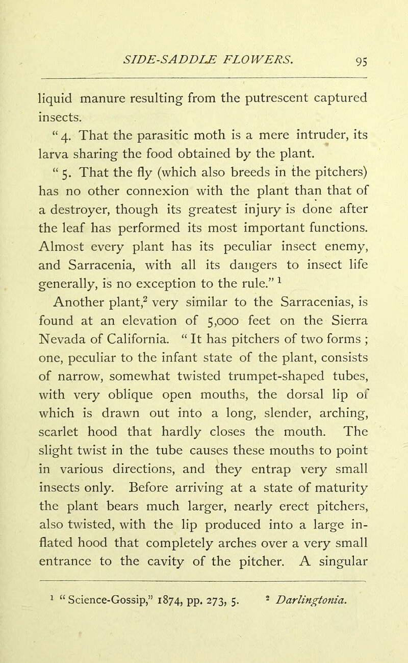 liquid manure resulting from the putrescent captured insects. “ 4. That the parasitic moth is a mere intruder, its larva sharing the food obtained by the plant. “ 5. That the fly (which also breeds in the pitchers) has no other connexion with the plant than that of a destroyer, though its greatest injury is done after the leaf has performed its most important functions. Almost every plant has its peculiar insect enemy, and Sarracenia, with all its dangers to insect life generally, is no exception to the rule.” 1 Another plant,2 very similar to the Sarracenias, is found at an elevation of 5,000 feet on the Sierra Nevada of California. “ It has pitchers of two forms ; one, peculiar to the infant state of the plant, consists of narrow, somewhat twisted trumpet-shaped tubes, with very oblique open mouths, the dorsal lip of which is drawn out into a long, slender, arching, scarlet hood that hardly closes the mouth. The slight twist in the tube causes these mouths to point in various directions, and they entrap very small insects only. Before arriving at a state of maturity the plant bears much larger, nearly erect pitchers, also twisted, with the lip produced into a large in- flated hood that completely arches over a very small entrance to the cavity of the pitcher. A singular 1 “Science-Gossip,” 1874, pp. 273, 5. Darlingtonia.