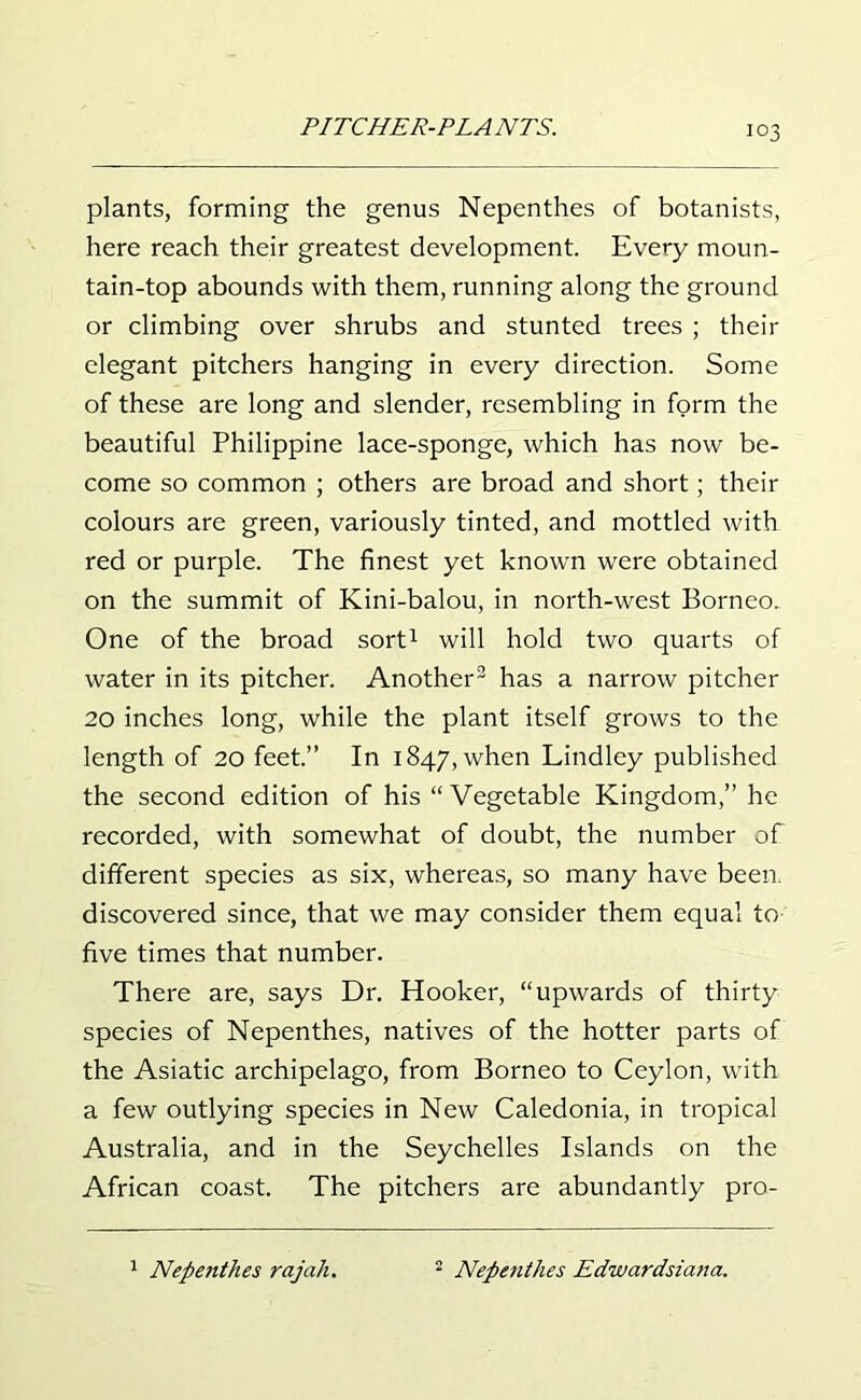 plants, forming the genus Nepenthes of botanists, here reach their greatest development. Every moun- tain-top abounds with them, running along the ground or climbing over shrubs and stunted trees ; their elegant pitchers hanging in every direction. Some of these are long and slender, resembling in form the beautiful Philippine lace-sponge, which has now be- come so common ; others are broad and short; their colours are green, variously tinted, and mottled with red or purple. The finest yet known were obtained on the summit of Kini-balou, in north-west Borneo. One of the broad sort1 will hold two quarts of water in its pitcher. Another2 has a narrow pitcher 20 inches long, while the plant itself grows to the length of 20 feet.” In 1847, when Lindley published the second edition of his “ Vegetable Kingdom,” he recorded, with somewhat of doubt, the number of different species as six, whereas, so many have been, discovered since, that we may consider them equal to five times that number. There are, says Dr. Hooker, “upwards of thirty species of Nepenthes, natives of the hotter parts of the Asiatic archipelago, from Borneo to Ceylon, with a few outlying species in New Caledonia, in tropical Australia, and in the Seychelles Islands on the African coast. The pitchers are abundantly pro-