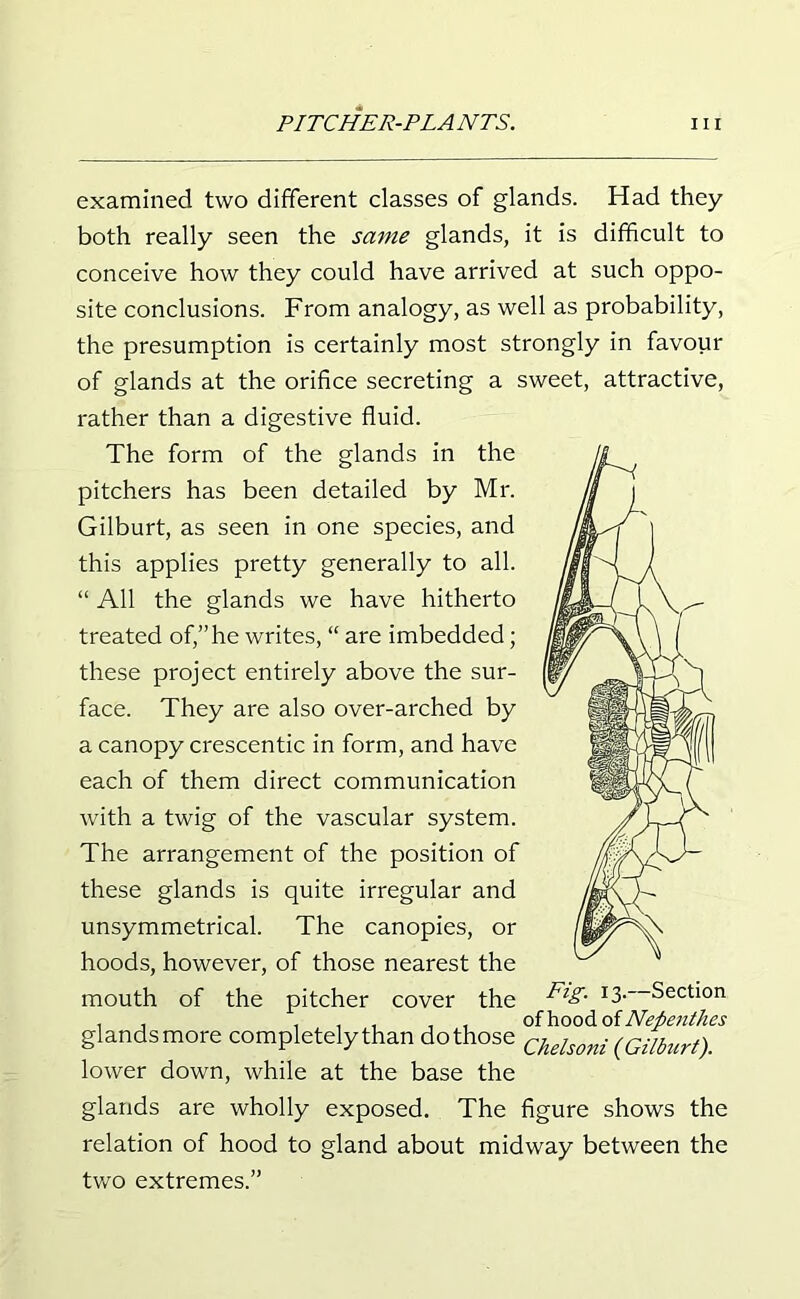 examined two different classes of glands. Had they both really seen the same glands, it is difficult to conceive how they could have arrived at such oppo- site conclusions. From analogy, as well as probability, the presumption is certainly most strongly in favour of glands at the orifice secreting a sweet, attractive, rather than a digestive fluid. The form of the glands in the pitchers has been detailed by Mr. Gilburt, as seen in one species, and this applies pretty generally to all. “ All the glands we have hitherto treated of,” he writes, “ are imbedded; these project entirely above the sur- face. They are also over-arched by a canopy crescentic in form, and have each of them direct communication with a twig of the vascular system. The arrangement of the position of these glands is quite irregular and unsymmetrical. The canopies, or hoods, however, of those nearest the mouth of the pitcher cover the ^g- T3- Section , , , , , , , of hood of Nepenthes glands more completely than do those chdsoni (Giiburt). lower down, while at the base the glands are wholly exposed. The figure shows the relation of hood to gland about midway between the two extremes.”