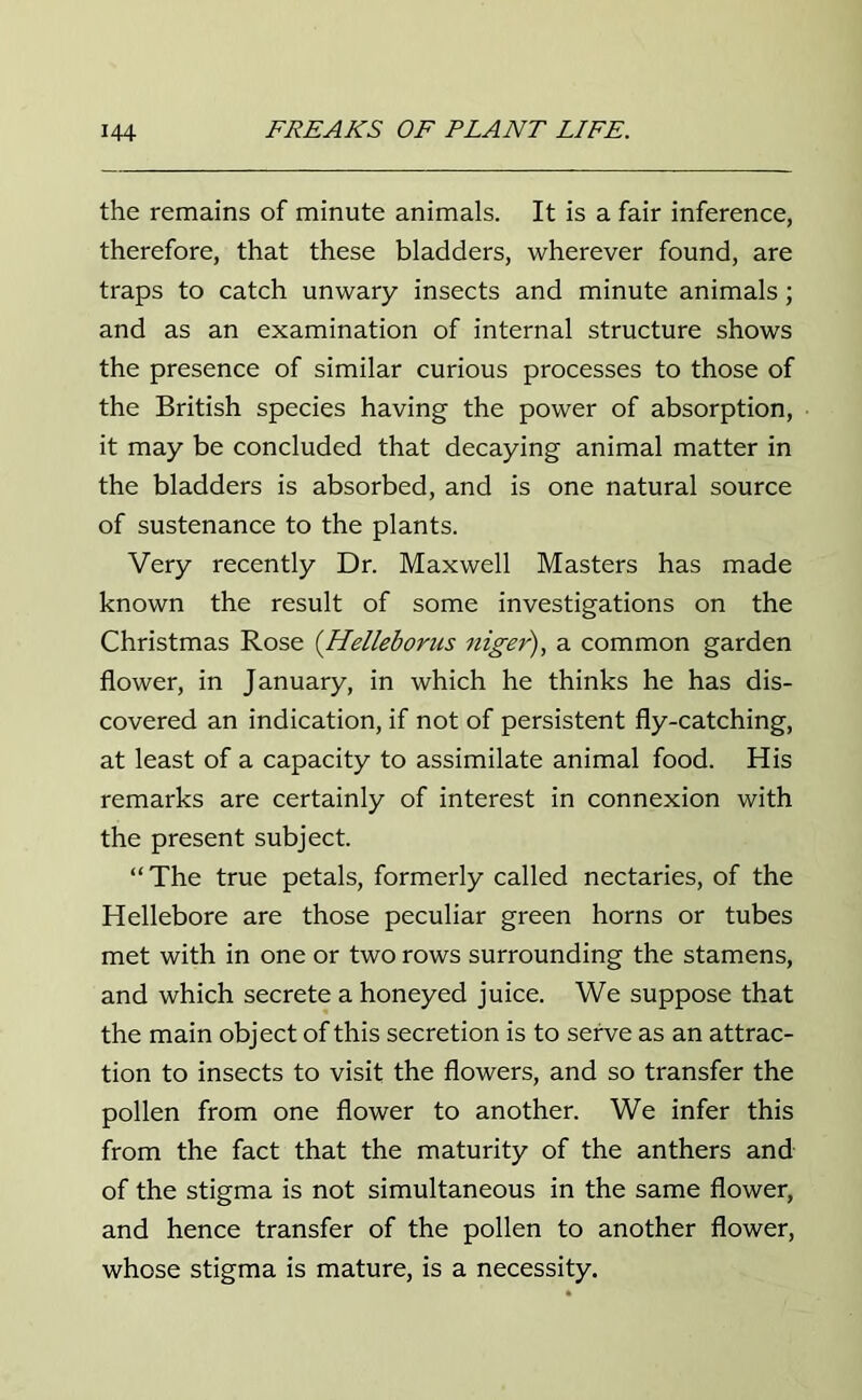 the remains of minute animals. It is a fair inference, therefore, that these bladders, wherever found, are traps to catch unwary insects and minute animals; and as an examination of internal structure shows the presence of similar curious processes to those of the British species having the power of absorption, it may be concluded that decaying animal matter in the bladders is absorbed, and is one natural source of sustenance to the plants. Very recently Dr. Maxwell Masters has made known the result of some investigations on the Christmas Rose (Helleborus niger), a common garden flower, in January, in which he thinks he has dis- covered an indication, if not of persistent fly-catching, at least of a capacity to assimilate animal food. His remarks are certainly of interest in connexion with the present subject. “The true petals, formerly called nectaries, of the Hellebore are those peculiar green horns or tubes met with in one or two rows surrounding the stamens, and which secrete a honeyed juice. We suppose that the main object of this secretion is to serve as an attrac- tion to insects to visit the flowers, and so transfer the pollen from one flower to another. We infer this from the fact that the maturity of the anthers and of the stigma is not simultaneous in the same flower, and hence transfer of the pollen to another flower, whose stigma is mature, is a necessity.