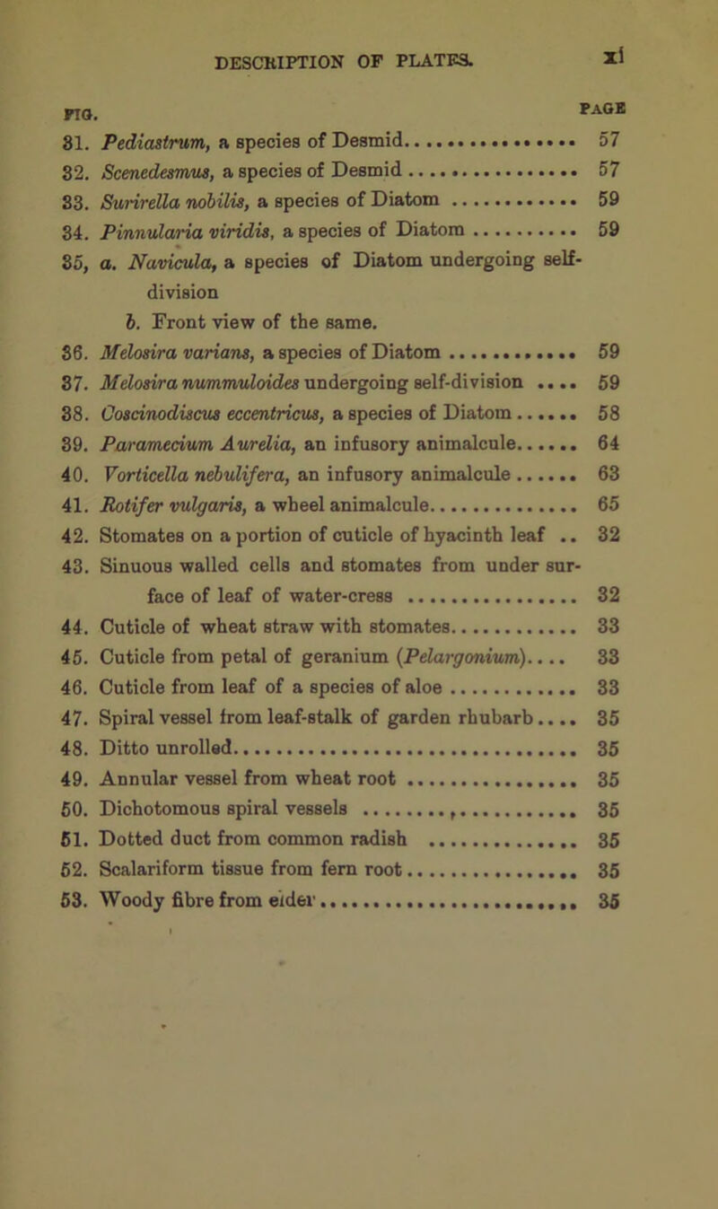 Zi 81. Pediastrum, a species of Desmid 57 32. Scenedesmus, a species of Desmid 57 33. Surirella nobilis, a species of Diatom 59 34. Pinnularia viridis, a species of Diatom 59 35. a. Navicula, a species of Diatom undergoing self- division b. Front view of the same. 36. Melosira varians, a species of Diatom 59 37. Melosira nummuloides undergoing self-division .... 59 38. Cosdnodiscus eccentricus, a species of Diatom 58 39. Paramecium, Aurelia, an infusory animalcule 64 40. Vorticella nebulifera, an infusory animalcule 63 41. Rotifer vulgaris, a wheel animalcule 65 42. Stomate8 on a portion of cuticle of hyacinth leaf .. 32 43. Sinuous walled cells and stomates from under sur- face of leaf of water-cress 32 44. Cuticle of wheat straw with stomates 33 45. Cuticle from petal of geranium (Pelargonium).... 33 46. Cuticle from leaf of a species of aloe 33 47. Spiral vessel from leaf-stalk of garden rhubarb .... 35 48. Ditto unrolled 35 49. Annular vessel from wheat root 35 50. Dichotomous spiral vessels 35 51. Dotted duct from common radish 35 52. Scalariform tissue from fern root 35