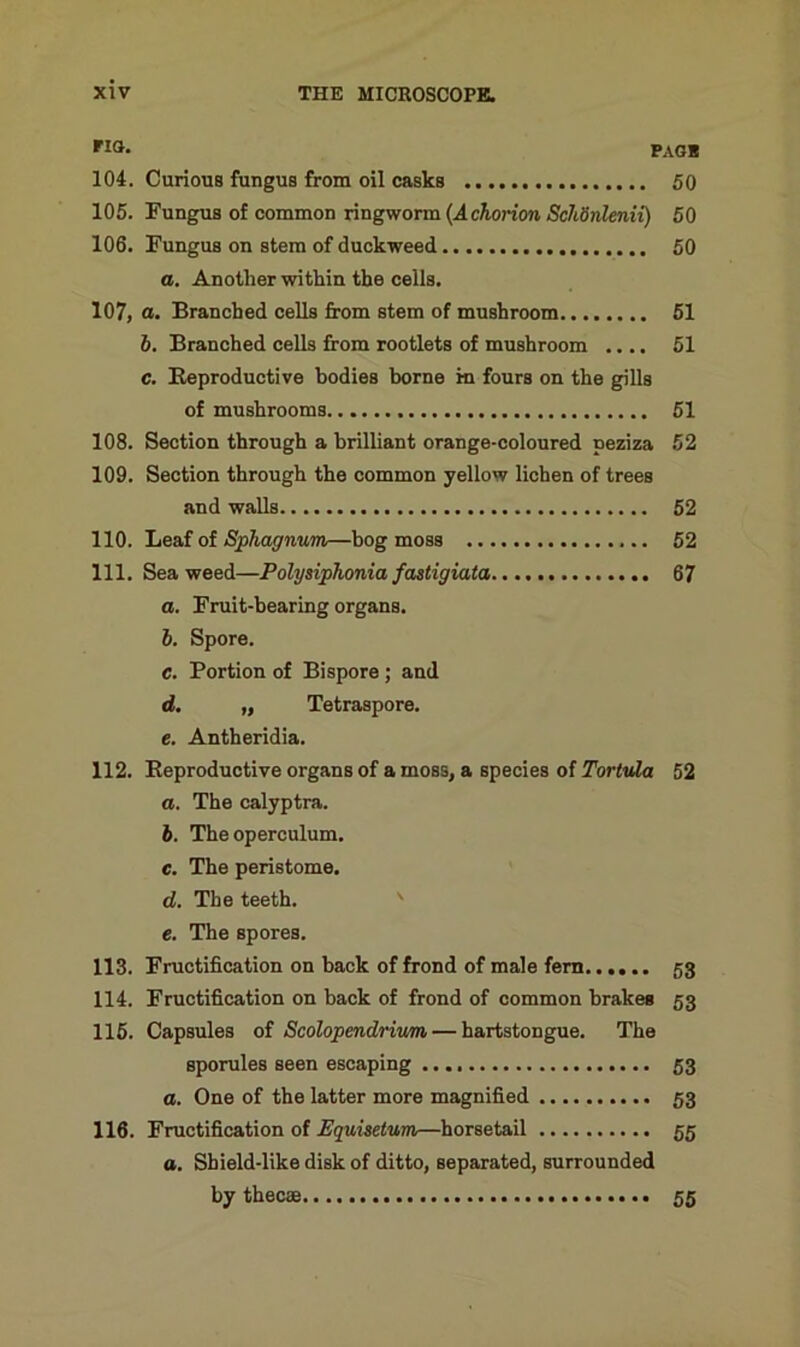 rl°- PACE 104. Curious fungus from oil casks 50 105. Fungus of common ringworm {Achorion Schdnlenii) 50 106. Fungus on stem of duckweed 50 a. Another within the cells. 107. a. Branched cells from stem of mushroom 51 6. Branched cells from rootlets of mushroom .... 51 c. Reproductive bodies borne in fours on the gills of mushrooms 51 108. Section through a brilliant orange-coloured peziza 52 109. Section through the common yellow lichen of trees and walls 52 110. Leaf of Sphagnum—bog moss 52 111. Seaweed—Polysiphoniafastigiata 67 а. Fruit-bearing organs. б. Spore. c. Portion of Bispore; and d. „ Tetraspore. e. Antheridia. 112. Reproductive organs of a moss, a species of Tortvda 52 а. The calyptra. б. The operculum. c. The peristome. d. The teeth. e. The spores. 113. Fructification on back of frond of male fern 53 114. Fructification on back of frond of common brakeB 53 115. Capsules of Scolopendrium — hartstongue. The sporules seen escaping 53 a. One of the latter more magnified 53 116. Fructification of Equisetum—horsetail 55 a. Shield-like disk of ditto, separated, surrounded by thecae 55