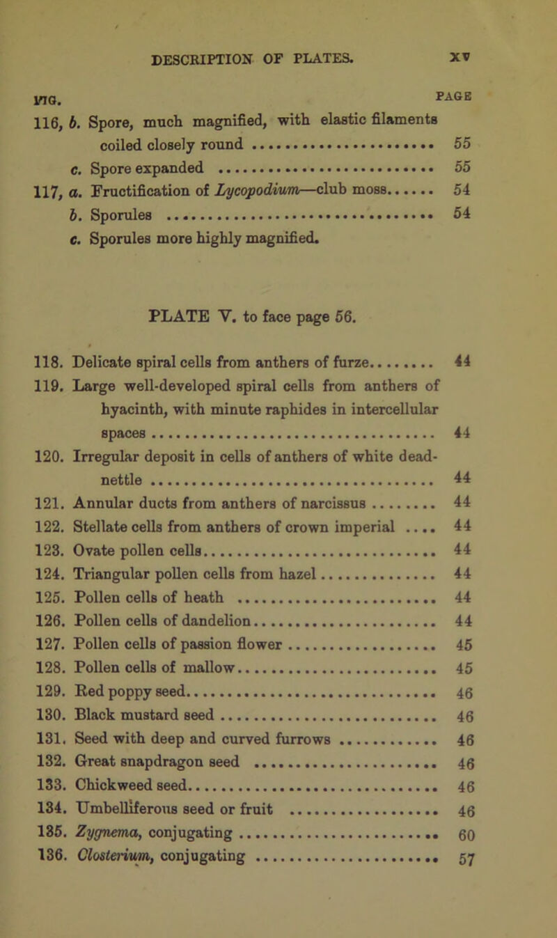 no. PA6E 116. b. Spore, much magnified, with elastic filaments coiled closely round 55 c. Spore expanded 55 117. o. Fructification of Lycopodium—club moss...... 54 b. Sporules 54 c. Sporules more highly magnified. PLATE V. to face page 56. 118. Delicate spiral cells from anthers of furze 44 119. Large well-developed spiral cells from anthers of hyacinth, with minute raphides in intercellular spaces 44 120. Irregular deposit in cells of anthers of white dead- nettle 44 121. Annular ducts from anthers of narcissus 44 122. Stellate cells from anthers of crown imperial .... 44 123. Ovate pollen cells 44 124. Triangular pollen cells from hazel 44 125. Pollen cells of heath 44 126. Pollen cells of dandelion 44 127. Pollen cells of passion flower 45 128. Pollen cells of mallow 45 129. Red poppy seed 46 130. Black mustard seed 46 131. Seed with deep and curved furrows 46 132. Great snapdragon seed 46 133. Chickweed seed 46 134. Umbelliferous seed or fruit 46 135. Zygnema, conjugating 60 136. Closterium, conjugating 57