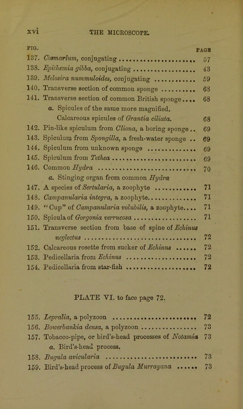 137. Cosmarlum, conjugating 57 138. Epitheiaia gibba, conjugating 43 139. Mclosira nummuloides, conjugating 59 140. Transverse section of common sponge 68 141. Transverse section of common British sponge.... 68 a. Spicules of the same more magnified. Calcareous spicules of Grantia ciliata. 68 142. Pin-like spiculum from Cliona, a boring sponge .. 69 143. Spiculum from Spongilla, a fresh-water sponge .. 69 144. Spiculum from unknown sponge 69 145. Spiculum from Tethea 69 146. Common Hydra 79 a. Stinging organ from common Hydra 147. A species of Serlularia, a zoophyte 71 148. Campanularia Integra, a zoophyte 71 149. “ Cup” of Campanularia volubilis, a zoophyte.... 71 150. Spiculaof Gorgonia verrucosa 71 151. Transverse section from base of spine of Echinus neglectus 72 152. Calcareous rosette from sucker of Echinus 72 153. Pedicellaria from Echinus 72 154. Pedicellaria from star-fish 72 PLATE VI. to face page 72. 155. Lepralia, a polyzoon 72 156. BowerbanJcia densa, a polyzoon 73 157. Tobacco-pipe, or bird’s-head processes of Notamia 73 a. Bird’s-heau process. 158. Bugula avicularia 73 159. Bird’s-head process of Bugula Murrayana 73