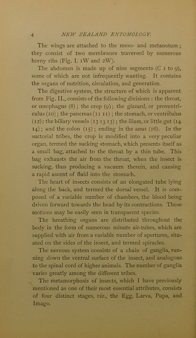 The wings are attached to the meso- and metanotum ; they consist of two membranes traversed by numerous horny ribs (Fig. I. iW and 2W). The abdomen is made up of nine segments (C 1 to 9),. some of which are not infrequently wanting. It contains the organs of nutrition, circulation, and generation. The digestive system, the structure of which is apparent from Fig. II., consists of the following divisions : the throat, or oesophagus (8) ; the crop (9); the gizzard, or proventri- culus(io); the pancreas (11 11) ; the stomach, or ventriculus (12); the biliary vessels (13 13 13); the ilium, or little gut (14 14) ; and the colon (15) ; ending in the anus (16). In the suctorial tribes, the crop is modified into a very peculiar organ, termed the sucking stomach, which presents itself as a small bag, attached to the throat by a thin tube. This bag exhausts the air from the throat, when the insect is sucking, thus producing a vacuum therein, and causing a rapid ascent of fluid into the stomach. The heart of insects consists of an elongated tube lying along the back, and termed the dorsal vessel. It is com- posed of a variable number of chambers, the blood being driven forward towards the head by its contractions. These motions may be easily seen in transparent species. The breathing organs are distributed throughout the body in the form of numerous minute air-tubes, which are supplied with air from a variable number of apertures, situ- ated on the sides of the insect, and termed spiracles. The nervous system consists of a chain of ganglia, run- ning down the ventral surface of the insect, and analogous to the spinal cord of higher animals. The number of ganglia varies greatly among the different tribes. The metamorphosis of insects, which I have previously mentioned as one of their most essential attributes, consists of four distinct stages, vis., the Egg, Larva, Pupa, and Imago.