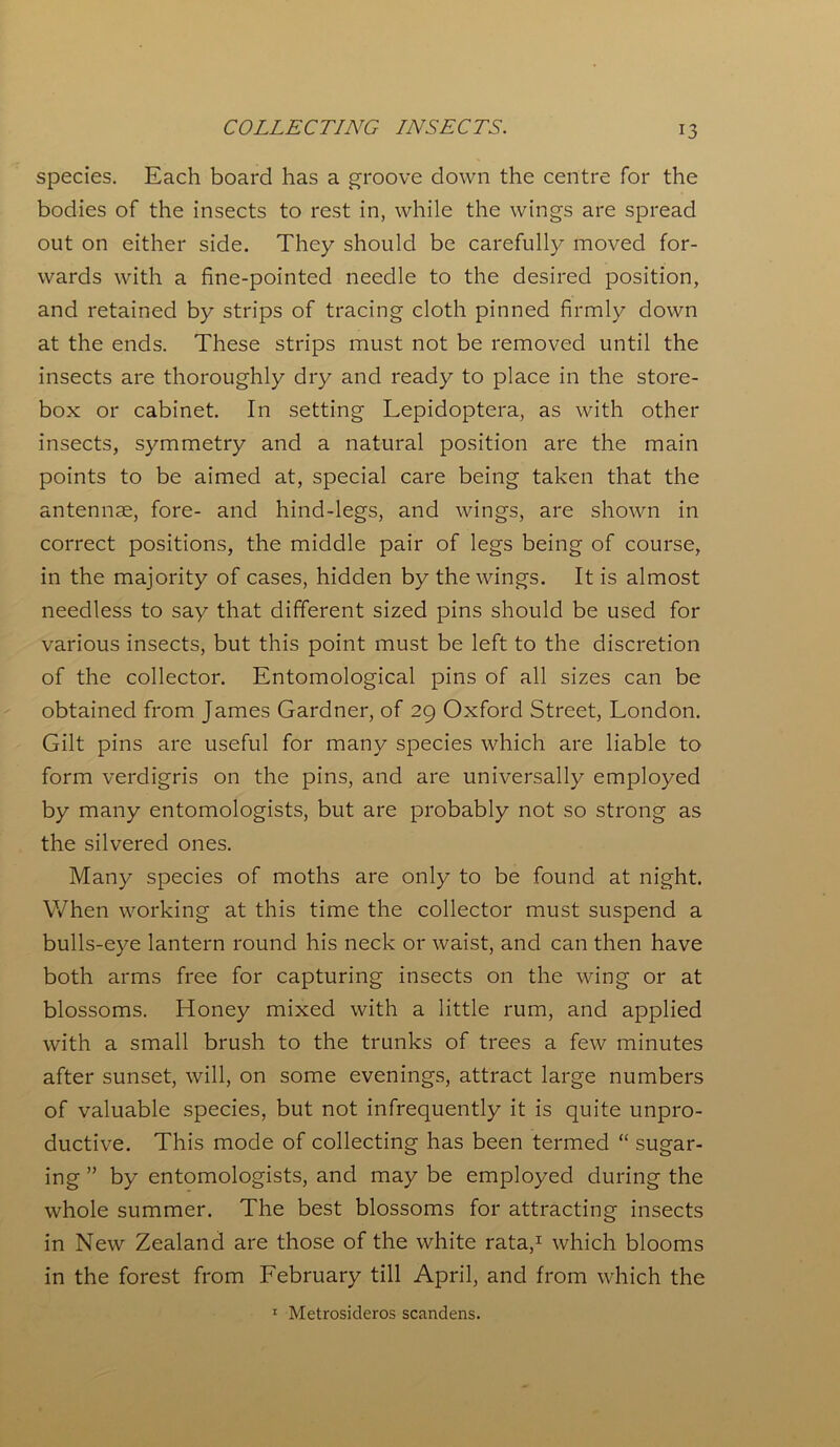 species. Each board has a groove down the centre for the bodies of the insects to rest in, while the wings are spread out on either side. They should be carefully moved for- wards with a fine-pointed needle to the desired position, and retained by strips of tracing cloth pinned firmly down at the ends. These strips must not be removed until the insects are thoroughly dry and ready to place in the store- box or cabinet. In setting Lepidoptera, as with other insects, symmetry and a natural position are the main points to be aimed at, special care being taken that the antennae, fore- and hind-legs, and wings, are shown in correct positions, the middle pair of legs being of course, in the majority of cases, hidden by the wings. It is almost needless to say that different sized pins should be used for various insects, but this point must be left to the discretion of the collector. Entomological pins of all sizes can be obtained from James Gardner, of 29 Oxford Street, London. Gilt pins are useful for many species which are liable to form verdigris on the pins, and are universally employed by many entomologists, but are probably not so strong as the silvered ones. Many species of moths are only to be found at night. When working at this time the collector must suspend a bulls-eye lantern round his neck or waist, and can then have both arms free for capturing insects on the wing or at blossoms. Honey mixed with a little rum, and applied with a small brush to the trunks of trees a few minutes after sunset, will, on some evenings, attract large numbers of valuable species, but not infrequently it is quite unpro- ductive. This mode of collecting has been termed “ sugar- ing ” by entomologists, and may be employed during the whole summer. The best blossoms for attracting insects in New Zealand are those of the white rata,1 which blooms in the forest from February till April, and from which the 1 Metrosideros scandens.