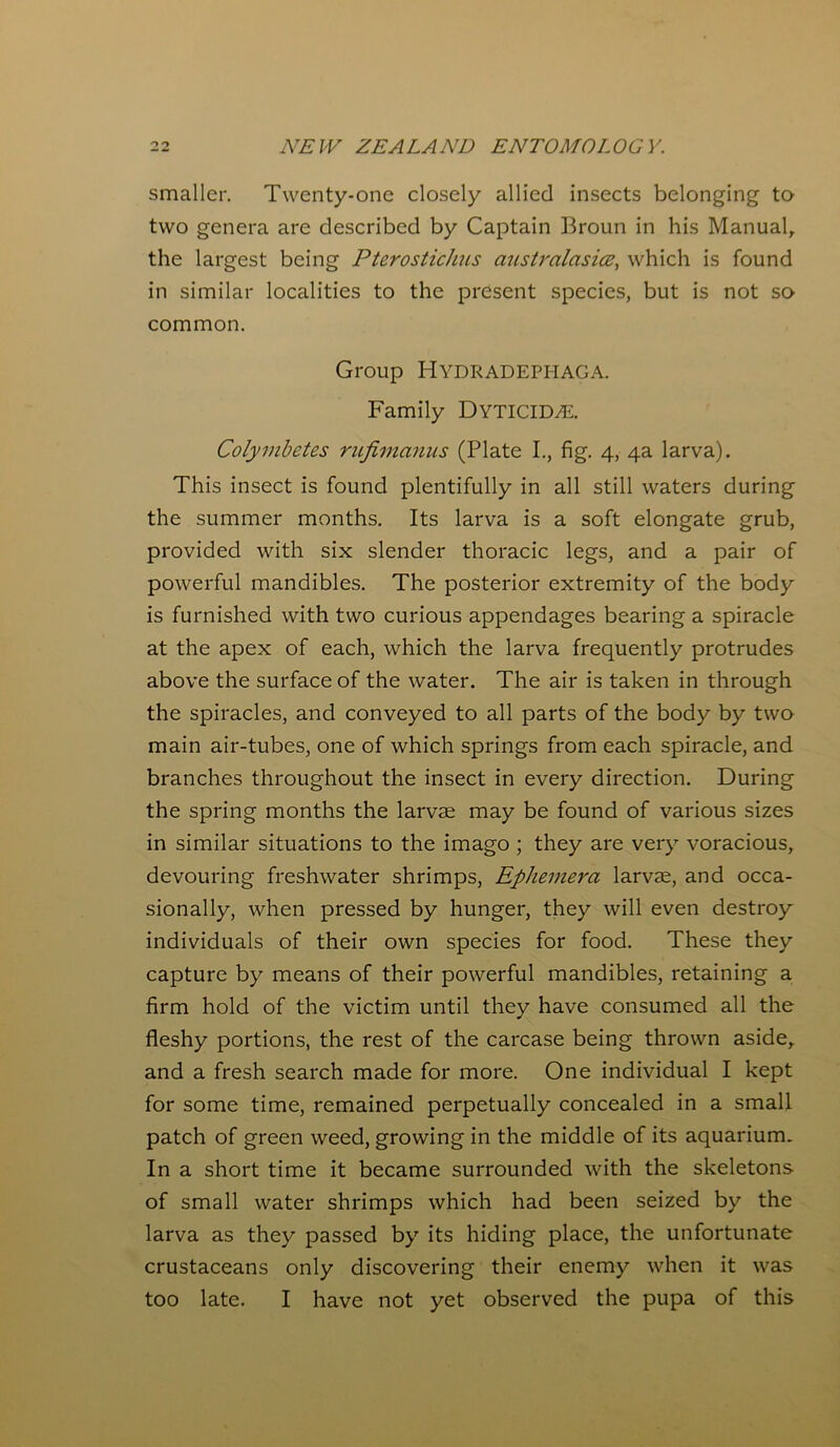 smaller. Twenty-one closely allied insects belonging to two genera are described by Captain Broun in his Manual, the largest being Pterostichus australasice, which is found in similar localities to the present species, but is not so common. Group Hydradepi-iaga. Family Dyticidal Colymbetes rufimanus (Plate I., fig. 4, 4a larva). This insect is found plentifully in all still waters during the summer months. Its larva is a soft elongate grub, provided with six slender thoracic legs, and a pair of powerful mandibles. The posterior extremity of the body is furnished with two curious appendages bearing a spiracle at the apex of each, which the larva frequently protrudes above the surface of the water. The air is taken in through the spiracles, and conveyed to all parts of the body by two main air-tubes, one of which springs from each spiracle, and branches throughout the insect in every direction. During the spring months the larvae may be found of various sizes in similar situations to the imago ; they are very voracious, devouring freshwater shrimps, Ephemera larvae, and occa- sionally, when pressed by hunger, they will even destroy individuals of their own species for food. These they capture by means of their powerful mandibles, retaining a firm hold of the victim until they have consumed all the fleshy portions, the rest of the carcase being thrown aside, and a fresh search made for more. One individual I kept for some time, remained perpetually concealed in a small patch of green weed, growing in the middle of its aquarium. In a short time it became surrounded with the skeletons of small water shrimps which had been seized by the larva as they passed by its hiding place, the unfortunate crustaceans only discovering their enemy when it was too late. I have not yet observed the pupa of this