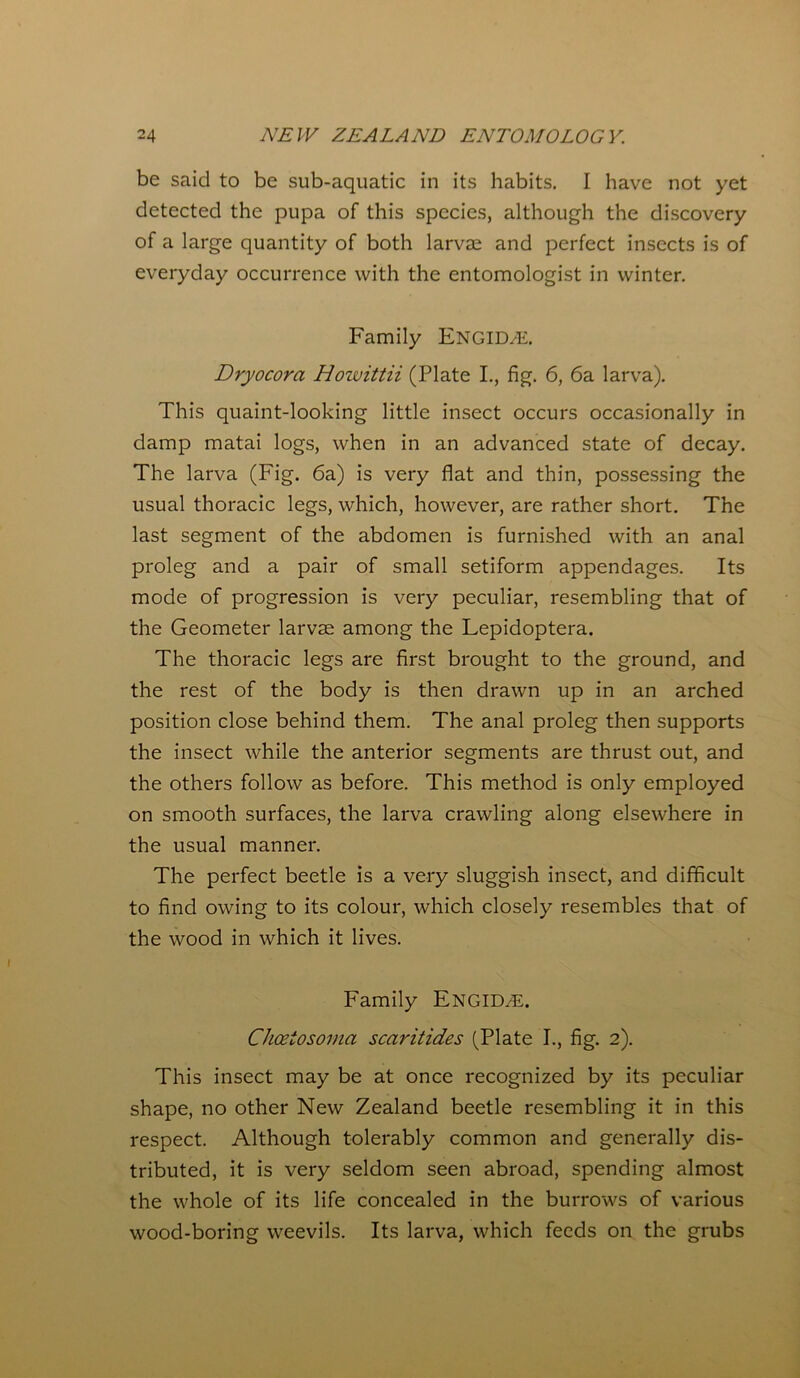 be said to be sub-aquatic in its habits. I have not yet detected the pupa of this species, although the discovery of a large quantity of both larvae and perfect insects is of everyday occurrence with the entomologist in winter. Family Engid^e. Dryocora Hoivittii (Plate I., fig. 6, 6a larva). This quaint-looking little insect occurs occasionally in damp matai logs, when in an advanced state of decay. The larva (Fig. 6a) is very flat and thin, possessing the usual thoracic legs, which, however, are rather short. The last segment of the abdomen is furnished with an anal proleg and a pair of small setiform appendages. Its mode of progression is very peculiar, resembling that of the Geometer larvae among the Lepidoptera. The thoracic legs are first brought to the ground, and the rest of the body is then drawn up in an arched position close behind them. The anal proleg then supports the insect while the anterior segments are thrust out, and the others follow as before. This method is only employed on smooth surfaces, the larva crawling along elsewhere in the usual manner. The perfect beetle is a very sluggish insect, and difficult to find owing to its colour, which closely resembles that of the wood in which it lives. Family EngiD/E. Chceiosoma scaritides (Plate I., fig. 2). This insect may be at once recognized by its peculiar shape, no other New Zealand beetle resembling it in this respect. Although tolerably common and generally dis- tributed, it is very seldom seen abroad, spending almost the whole of its life concealed in the burrows of various wood-boring weevils. Its larva, which feeds on the grubs