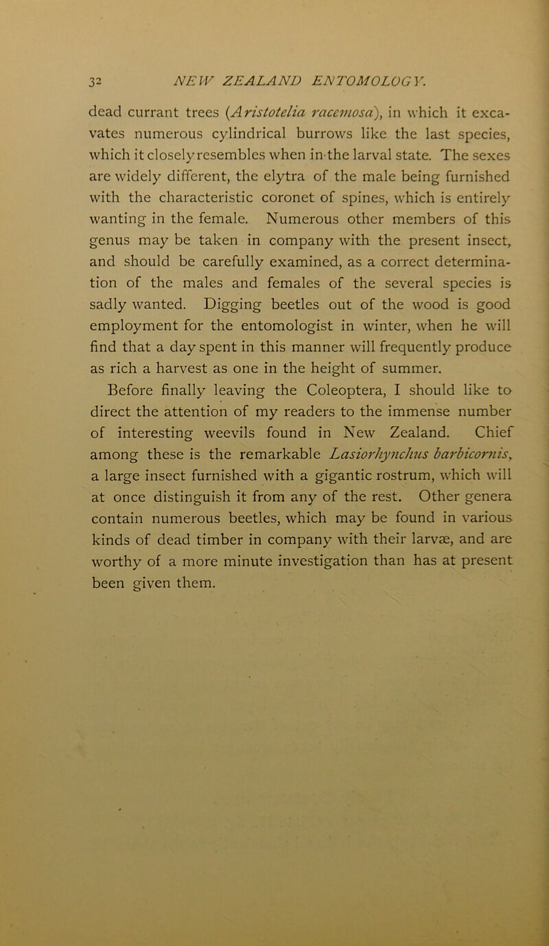 dead currant trees (.Aristotelia racemosa), in which it exca- vates numerous cylindrical burrows like the last species, which it closely resembles when in the larval state. The sexes are widely different, the elytra of the male being furnished with the characteristic coronet of spines, which is entirely wanting in the female. Numerous other members of this genus may be taken in company with the present insect, and should be carefully examined, as a correct determina- tion of the males and females of the several species is sadly wanted. Digging beetles out of the wood is good employment for the entomologist in winter, when he will find that a day spent in this manner will frequently produce as rich a harvest as one in the height of summer. Before finally leaving the Coleoptera, I should like to direct the attention of my readers to the immense number of interesting weevils found in New Zealand. Chief among these is the remarkable Lcisiorhynclms barbicornis, a large insect furnished with a gigantic rostrum, which will at once distinguish it from any of the rest. Other genera contain numerous beetles, which may be found in various kinds of dead timber in company with their larvae, and are worthy of a more minute investigation than has at present been given them.