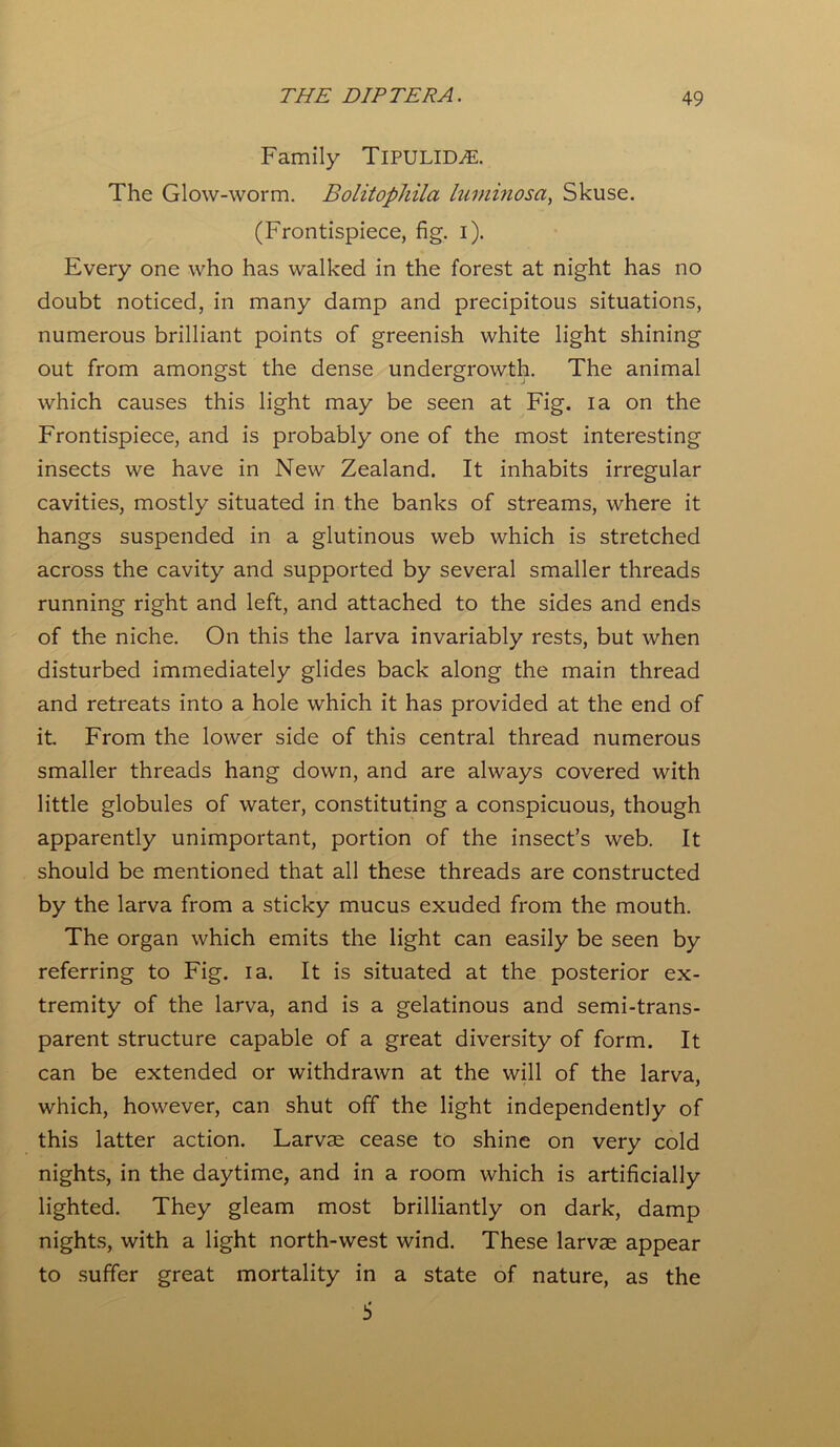 Family TlPULID^E. The Glow-worm. Bolitophila luminosa, Skuse. (Frontispiece, fig. i). Every one who has walked in the forest at night has no doubt noticed, in many damp and precipitous situations, numerous brilliant points of greenish white light shining out from amongst the dense undergrowth. The animal which causes this light may be seen at Fig. ia on the Frontispiece, and is probably one of the most interesting insects we have in New Zealand. It inhabits irregular cavities, mostly situated in the banks of streams, where it hangs suspended in a glutinous web which is stretched across the cavity and supported by several smaller threads running right and left, and attached to the sides and ends of the niche. On this the larva invariably rests, but when disturbed immediately glides back along the main thread and retreats into a hole which it has provided at the end of it. From the lower side of this central thread numerous smaller threads hang down, and are always covered with little globules of water, constituting a conspicuous, though apparently unimportant, portion of the insect’s web. It should be mentioned that all these threads are constructed by the larva from a sticky mucus exuded from the mouth. The organ which emits the light can easily be seen by referring to Fig. ia. It is situated at the posterior ex- tremity of the larva, and is a gelatinous and semi-trans- parent structure capable of a great diversity of form. It can be extended or withdrawn at the will of the larva, which, however, can shut off the light independently of this latter action. Larvae cease to shine on very cold nights, in the daytime, and in a room which is artificially lighted. They gleam most brilliantly on dark, damp nights, with a light north-west wind. These larvae appear to suffer great mortality in a state of nature, as the $