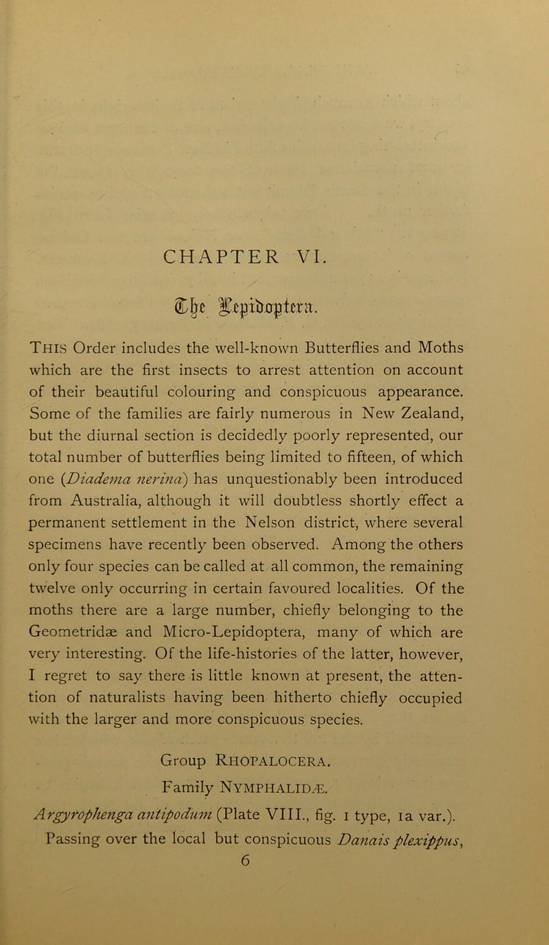 CHAPTER VI. Cbc g^jnbnjjtcra. This Order includes the well-known Butterflies and Moths which are the first insects to arrest attention on account of their beautiful colouring and conspicuous appearance. Some of the families are fairly numerous in New Zealand, but the diurnal section is decidedly poorly represented, our total number of butterflies being limited to fifteen, of which one {Diadema nerina) has unquestionably been introduced from Australia, although it will doubtless shortly effect a permanent settlement in the Nelson district, where several specimens have recently been observed. Among the others only four species can be called at all common, the remaining twelve only occurring in certain favoured localities. Of the moths there are a large number, chiefly belonging to the Geometridae and Micro-Lepidoptera, many of which are very interesting. Of the life-histories of the latter, however, I regret to say there is little known at present, the atten- tion of naturalists having been hitherto chiefly occupied with the larger and more conspicuous species. Group RHOPALOCERA. Family Nymphalidal Argyrophengci cintipodum {Plate VIII., fig. i type, ia var.). Passing over the local but conspicuous Danais plexippus, 6