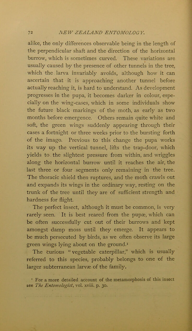 alike, the only differences observable being in the length of the perpendicular shaft and the direction of the horizontal burrow, which is sometimes curved. These variations are usually caused by the presence of other tunnels in the tree, which the larva invariably avoids, although how it can ascertain that it is approaching another tunnel before actually reaching it, is hard to understand. As development progresses in the pupa, it becomes darker in colour, espe- cially on the wing-cases, which in some individuals show the future black markings of the moth, as early as two months before emergence. Others remain quite white and soft, the green wings suddenly appearing through their cases a fortnight or three weeks prior to the bursting forth of the imago. Previous to this change the pupa works its way up the vertical tunnel, lifts the trap-door, which yields to the slightest pressure from within, and wriggles along the horizontal burrow until it reaches the air, the last three or four segments only remaining in the tree. The thoracic shield then ruptures, and the moth crawls out and expands its wings in the ordinary way, resting on the trunk of the tree until they are of sufficient strength and hardness for flight. The perfect insect, although it must be common, is very rarely seen. It is best reared from the pupae, which can be often successfully cut out of their burrows and kept amongst damp moss until they emerge. It appears to be much persecuted by birds, as we often observe its large green wings lying about on the ground.1 The Curious “ vegetable caterpillar,” which is usually referred to this species, probably belongs to one of the larger subterranean larvae of the family. 1 For a more detailed account of the metamorphosis of this insect see The Entomologist, vol. xviii. p. 30.