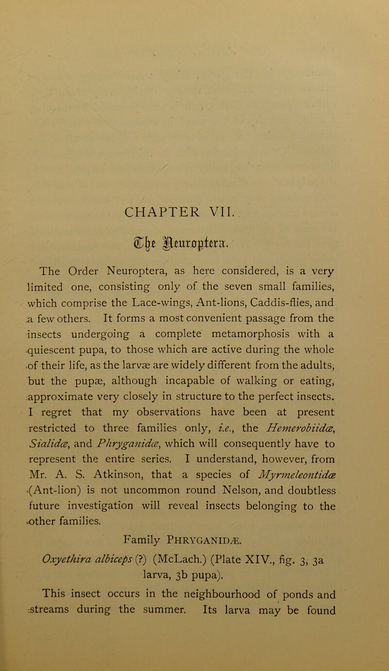 The Order Neuroptera, as here considered, is a very- limited one, consisting only of the seven small families, which comprise the Lace-wings, Ant-lions, Caddis-flies, and .a few others. It forms a most convenient passage from the insects undergoing a complete metamorphosis with a quiescent pupa, to those which are active during the whole ■of their life, as the larvae are widely different from the adults, but the pupae, although incapable of walking or eating, approximate very closely in structure to the perfect insects. I regret that my observations have been at present restricted to three families only, i.e., the Hemerobiidce, Sialidcz, and Phryganidce, which will consequently have to represent the entire series. I understand, however, from Mr. A. S. Atkinson, that a species of Myrmeleontidcz ■(Ant-lion) is not uncommon round Nelson, and doubtless future investigation will reveal insects belonging to the ■other families. Family Phryganid,e. Oxyethira albiceps (?) (McLach.) (Plate XIV., fig. 3, 3a larva, 3b pupa). This insect occurs in the neighbourhood of ponds and streams during the summer. Its larva may be found