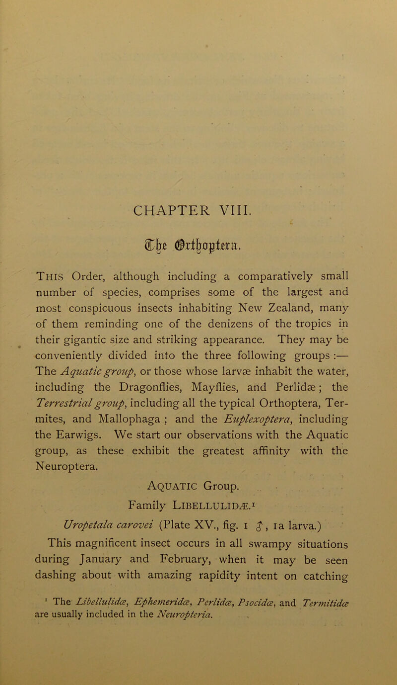 CHAPTER VIII. ®Ij£ #rtljapta. THIS Order, although including a comparatively small number of species, comprises some of the largest and most conspicuous insects inhabiting New Zealand, many of them reminding one of the denizens of the tropics in their gigantic size and striking appearance. They may be conveniently divided into the three following groups :— The Aquatic group, or those whose larvae inhabit the water, including the Dragonflies, Mayflies, and Perlidae; the Terrestrial group, including all the typical Orthoptera, Ter- mites, and Mallophaga ; and the Euplexoptera, including the Earwigs. We start our observations with the Aquatic group, as these exhibit the greatest affinity with the Neuroptera. Aquatic Group. Family Libellulidhl1 Uropetala carovei (Plate XV., fig. i $, ia larva.) This magnificent insect occurs in all swampy situations during January and February, when it may be seen dashing about with amazing rapidity intent on catching 1 The Libelhilidce, Ephemeridce, Perlidce, Psocidce, and Termitidcc are usually included in the Neuropteria.