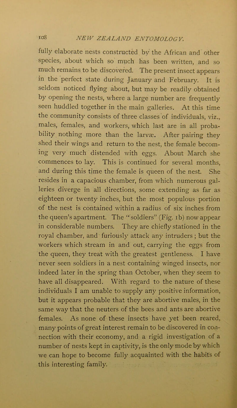 rcsS fully elaborate nests constructed by the African and other species, about which so much has been written, and so much remains to be discovered. The present insect appears in the perfect state during January and February. It is seldom noticed flying about, but may be readily obtained by opening the nests, where a large number are frequently seen huddled together in the main galleries. At this time the community consists of three classes of individuals, viz., males, females, and workers, which last are in all proba- bility nothing more than the larvae. After pairing they shed their wings and return to the nest, the female becom- ing very much distended with eggs. About March she commences to lay. This is continued for several months, and during this time the female is queen of the nest. She resides in a capacious chamber, from which numerous gal- leries diverge in all directions, some extending as far as eighteen or twenty inches, but the most populous portion of the nest is contained within a radius of six inches from the queen’s apartment. The “ soldiers” (Fig. ib) now appear in considerable numbers. They are chiefly stationed in the royal chamber, and furiously attack any intruders ; but the workers which stream in and out, carrying the eggs from the queen, they treat with the greatest gentleness. I have never seen soldiers in a nest containing winged insects, nor indeed later in the spring than October, when they seem to have all disappeared. With regard to the nature of these individuals I am unable to supply any positive information, but it appears probable that they are abortive males, in the same way that the neuters of the bees and ants are abortive females. As none of these insects have yet been reared, many points of great interest remain to be discovered in con- nection with their economy, and a rigid investigation of a number of nests kept in captivity, is the only mode by which we can hope to become fully acquainted with the habits of this interesting family.