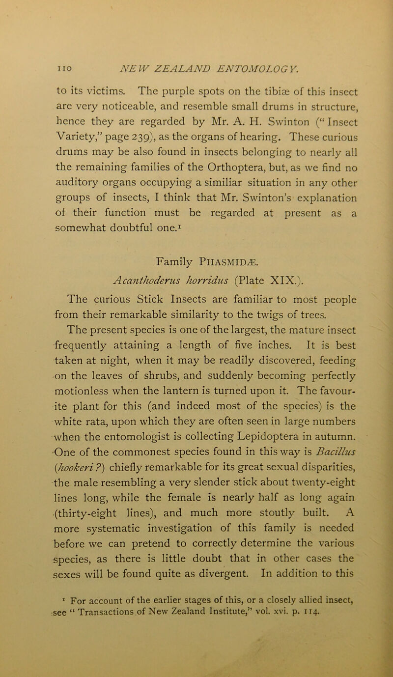 to its victims. The purple spots on the tibiae of this insect are very noticeable, and resemble small drums in structure, hence they are regarded by Mr. A. H. Swinton (“ Insect Variety,” page 239), as the organs of hearing. These curious drums may be also found in insects belonging to nearly all the remaining families of the Orthoptera, but, as we find no auditory organs occupying a similiar situation in any other groups of insects, I think that Mr. Swinton’s explanation of their function must be regarded at present as a somewhat doubtful one.1 Family PHASMIDA2. Acanthoderus horridus (Plate XIX.). The curious Stick Insects are familiar to most people from their remarkable similarity to the twigs of trees. The present species is one of the largest, the mature insect frequently attaining a length of five inches. It is best taken at night, when it may be readily discovered, feeding on the leaves of shrubs, and suddenly becoming perfectly motionless when the lantern is turned upon it. The favour- ite plant for this (and indeed most of the species) is the white rata, upon which they are often seen in large numbers when the entomologist is collecting Lepidoptera in autumn. One of the commonest species found in this way is Bacillus (,hookeri ?) chiefly remarkable for its great sexual disparities, the male resembling a very slender stick about twenty-eight lines long, while the female is nearly half as long again (thirty-eight lines), and much more stoutly built. A more systematic investigation of this family is needed before we can pretend to correctly determine the various species, as there is little doubt that in other cases the sexes will be found quite as divergent. In addition to this 1 For account of the earlier stages of this, or a closely allied insect,