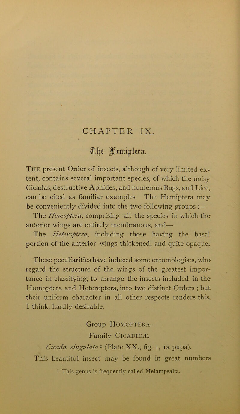 CHAPTER IX. ®]n JJemtptenr. The present Order of insects, although of very limited ex- tent, contains several important species, of which the noisy Cicadas, destructive Aphides, and numerous Bugs, and Lice, can be cited as familiar examples. The Hemiptera may be conveniently divided into the two following groups :— The Homopterci, comprising all the species in which the anterior wings are entirely membranous, and— The Heteropterci, including those having the basal portion of the anterior wings thickened, and quite opaque. These peculiarities have induced some entomologists, who regard the structure of the wings of the greatest impor- tance in classifying, to arrange the insects included in the Homoptera and Heteroptera, into two distinct Orders ; but their uniform character in all other respects renders this, I think, hardly desirable. Group Homoptera. Family ClCADID/E. Cicada cingulaia1 (Plate XX., fig. i, ia pupa). This beautiful insect may be found in great numbers 1 This genus is frequently called Melampsalta.