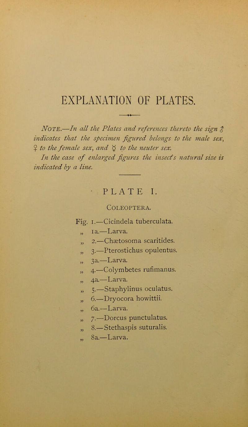 EXPLANATION OF PLATES. Note.—In all the Plates and references thereto the sign $ indicates that the specimen figured belongs to the male sex, $ to the female sex, and $ to the neuter sex. In the case of enlarged figures the insects natural size is indicated by a line. PLATE I. COLEOPTERA. Fig. I.—Cicindela tuberculata. „ i a.—Larva. „ 2.—Chaetosoma scaritides. „ 3.—Pterostichus opulentus. „ 3a.—Larva. „ 4.—Colymbetes rufimanus. „ 4a.—Larva. „ 5.—Staphylinus oculatus. „ 6.—Dryocora howittii. „ 6a.—Larva. „ 7.—Dorcus punctulatus. „ 8.— Stethaspis suturalis. „ 8a.—Larva.