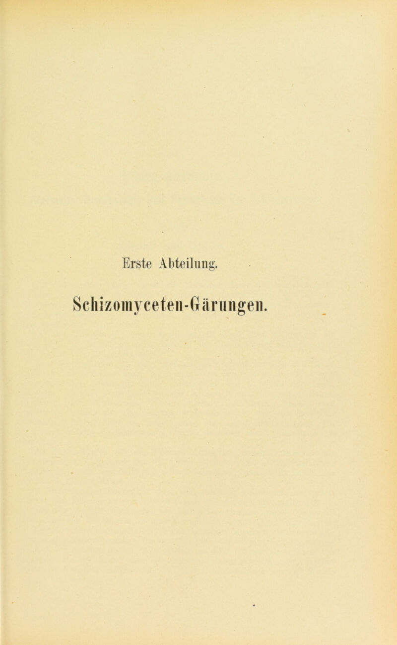 Erste Abteilung. Schizomyceten-Grärungen.