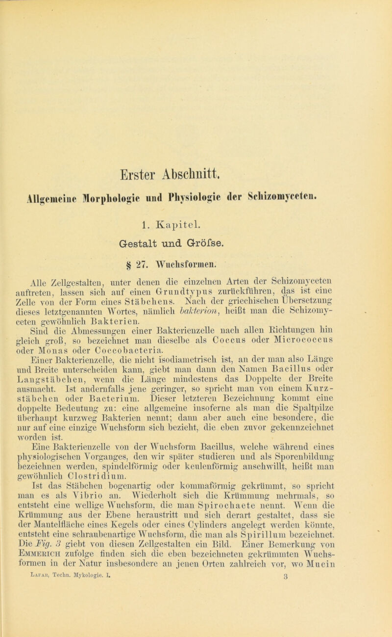Erster Abschnitt. Allgemeine Morphologie und Physiologie der Scliizomycetcn. 1. Kapitel. Gestalt und Gröfse. § 27. Wuchsformen. Alle Zellgestalten, unter denen die einzelnen Arten der Schizomyceten auftreten, lassen sich auf einen Grundtypus zurückführen, das ist eine Zelle von der Form eines Stäbchens. Nach der griechischen Übersetzung dieses letztgenannten Wortes, nämlich bakterion, heißt man die Schizomy- ceten gewöhnlich Bakterien. Sind die Abmessungen einer Bakterienzelle nach allen Richtungen hin gleich groß, so bezeichnet man dieselbe als Coccus oder Micrococcus oder Monas oder Coccobacteria. Einer Bakterienzelle, die nicht isodiametrisch ist, an der man also Länge und Breite unterscheiden kann, giebt man dann den Namen Bacillus oder Langstäbchen, wenn die Länge mindestens das Doppelte der Breite ausmacht. Ist andernfalls jene geringer, so spricht man von einem Knrz- stäbchen oder Bacterium. Dieser letzteren Bezeichnung kommt eine doppelte Bedeutung zu: eine allgemeine insoferne als man die Spaltpilze überhaupt kurzweg Bakterien nennt; dann aber auch eine besondere, die nur auf eine einzige Wuchsform sich bezieht, die eben zuvor gekennzeichnet worden ist. Eine Bakterienzelle von der Wuchsform Bacillus, welche während eines physiologischen Vorganges, den wir später studieren und als Sporenbildung bezeichnen werden, spindelförmig oder keulenförmig anschwillt, heißt man gewöhnlich Clostridium. Ist das Stäbchen bogenartig oder kommaförmig gekrümmt, so spricht man es als Vibrio an. Wiederholt sich die Krümmung mehrmals, so entsteht eine wellige Wuchsform, die man Spirochaete nennt. Wenn die Krümmung aus der Ebene heraustritt und sich derart gestaltet, dass sie der Mantelfläche eines Kegels oder eines Cylinders angelegt werden könnte, entsteht eine schraubenartige Wuchsform, die man als Spirillum bezeichnet. Die Fig. 3 giebt von diesen Zellgestalten ein Bild. Einer Bemerkung von Emmerich zufolge finden sich die eben bezeichneten gekrümmten Wuchs- tormen in der Natur insbesondere an jenen Orten zahlreich vor, wo Mucin Lafak, Teclin. Mykologie. I. 3