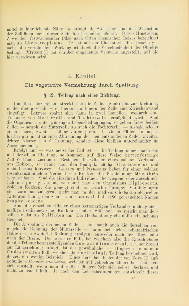 der Zellfäden nach dieser Seite hin besonders lebhaft. Dieses Hinstreben, Zuwenden, festwachsender Pilze nach Orten chemischen Reizes bezeichnet man als Chemotropismus. Er hat mit der Chemotaxis die Ursache ge- mein; die verschiedene Wirkung ist durch die Verschiedenheit der Objekte Miyosiii (I) hat darüber eingehende Versuche angestellt, auf die bedingt, hier £ V. i. WUi.. V *■) verwiesen wird. 4. Kapitel. Die vegetative Vermehrung durch Spaltung. § 42. Teilung nach einer Richtung. Um diese einzugehen, streckt sich die Zelle. Senkrecht zur Richtung, in der dies geschah, wird hierauf im Innern der Zelle eine Zwischenwand eingefügt. Letztere spaltet sich dann in zwei Lamellen, wodurch eine Trennung von Mutterz eile und Tochterzelle ermöglicht wird. Sind die Organismen unter günstigen Lebensbedingungen, so gehen diese beiden Zellen — sowohl die Mutterzelle als auch die Tochterzelle — alsbald wieder einen neuen, zweiten Teilungsvorgang ein. In vielen Fällen kommt es hierbei gar nicht zu einer Abtrennung der neu entstandenen Zellen zweiter, dritter, vierter u. s. f. Ordnung, sondern diese bleiben untereinander im Zusammenhang. Erfolgt nun — was meist der Fall ist die Teilun immer nach ein und derselben Richtung, so kommen auf diese Weise kettenförmige Zell-Verbände zustande. Bestehen die Glieder eines solchen Verbandes aus Kokken, so nennt man den Spaltpilz häufig Streptococcus und nicht Coccus kurzweg. Hallier und Itzigsohn haben für einen solchen rosenkranzähnlichen Verband von Kokken die Bezeichnung Mycotlirix vorgeschlagen. Sind die einzelnen Individuen überwiegend oder ausschließ- lich nur paarig vereint, so nennt man den Organismus Diplococcus. geneigt sind, zu t rauben förmigen Vereinigungen Solchen Kokken, die sich zusammenzulagern, giebt man in der medizinisch-bakteriologischen Litteratur häutig den zuerst von Ogston (I) i. J. 1880 gebrauchten Namen Staphylococcus. Sind die einzelnen Glieder eines kettenartigen Verbandes nicht gleich- mäßige (isodiametrische) Kokken, sondern Stäbchen, so spricht man den- selben meist als Zellfaden an. Der Heubacillus giebt dafür ein schönes Beispiel. Die Abspaltung der neuen Zelle — und somit auch die derselben vor- der Mutterzelle — kann bei nicht-isodiametrischen ^ erfolgen: entweder nach der Länge oder nach der Breite. Der erstcre Fall, bei welchem also die Einschiebung der die Teilung bewerkstelligenden Querwand transversal, d. h. senkrecht angehende Dehnung Bakterien in zweierlei Richtung zur Längsrichtung erfolgt, ~ ^ der gewöhnliche. — Hingegen kennt man für den zweiten Fall, welcher als longitudinale Teilung bezeichnet wird, derzeit nur wenige Beispiele. Eines derselben bietet der von Zopf (I) auf- gefundene Bacillus tumescens, welcher auf gekochten Mohrrüben fast stets sich einstellt, wenn man dieselben längere Zeit sich selbst überlässt und nicht zu feucht hält. Je nach den Lebensbedingungen entwickelt dieser 4*