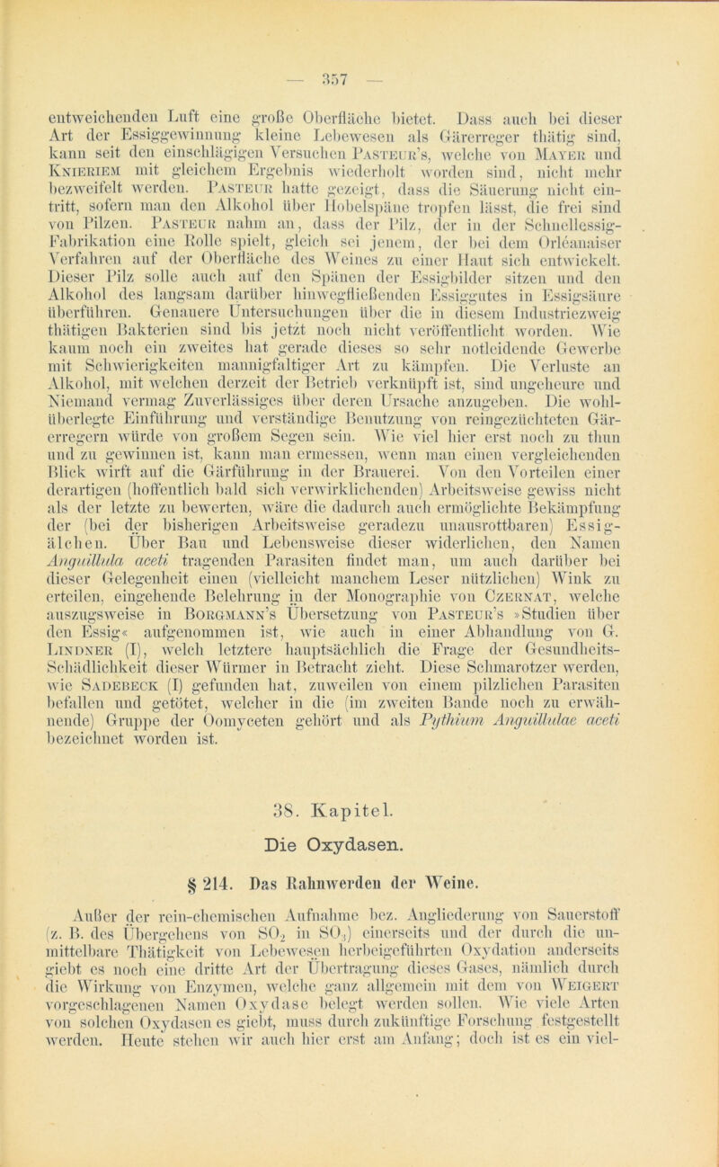 große Oberfläche bietet. Dass auch bei dieser sind, entweichenden Luft eine Art der Essiggewinnung kleine Lebewesen als Gärerreger tliätig kann seit den einschlägigen Versuchen Pasteur’s, welche von Mayer und Knieriem mit gleichem Ergebnis wiederholt worden sind, nicht mehr bezweifelt werden. Pasteur hatte gezeigt, dass die Säuerung nicht ein- tritt, sofern man den Alkohol über Hobelspäne tropfen lässt, die frei sind von Pilzen. Pasteur nahm an, dass der Pilz, der in der Schnellessig- Fabrikation eine Rolle spielt, gleich sei jenem, der bei dem Orleanaiser Verfahren auf der Oberfläche des Weines zu einer Haut sich entwickelt. Dieser Pilz solle auch auf den Spänen der Essigbilder sitzen und den Alkohol des langsam darüber hinwegfließenden Essiggutes in Essigsäure überführen. Genauere Untersuchungen über die in diesem Industriezweig thätigen Bakterien sind bis jetzt noch nicht veröffentlicht worden. Wie kaum noch ein zweites hat gerade dieses so sehr notleidende Gewerbe mit Schwierigkeiten mannigfaltiger Art zu kämpfen. Die Verluste an Alkohol, mit welchen derzeit der Betrieb verknüpft ist, sind ungeheure und Niemand vermag Zuverlässiges über deren Ursache anzugeben. Die wohl- überlegte Einführung und verständige Benutzung erregern würde von großem Segen sein. von reingezüchteten Gär- Wie viel hier erst noch zu thun kann man ermessen, wenn man einen vergleichenden der Brauerei. Von den Vorteilen einer derartigen (hoffentlich bald sich verwirklichenden) Arbeitsweise gewiss nicht als der letzte zu bewerten, wäre die dadurch auch ermöglichte Bekämpfung der (bei der bisherigen Arbeitsweise geradezu unausrottbaren) Essig- älchen. Uber Bau und Lebensweise dieser widerlichen, den Namen Anguillida ctceti tragenden Parasiten findet man, um auch darüber bei dieser Gelegenheit einen (vielleicht manchem Leser nützlichen) Wink zu erteilen, eingehende Belehrung in der Monographie von Czernat, welche in Borgmann’s Übersetzung von Pasteur’s »Studien über und zu gewinnen ist, Blick wirft auf die Gärfülirung in auszugsweise den Essig« aufgenommen ist, wie auch in einer Abhandlung von G. Lindner (I), welch letztere hauptsächlich die Frage der Gesundheits- Schädlichkeit dieser Würmer in Betracht zieht. Diese Schmarotzer werden, wie Sadebeck (I) gefunden hat, zuweilen von einem pilzlichen Parasiten befallen und getötet, welcher in die (im zweiten Bande noch zu erwäh- nende) Gruppe der Oomyceten gehört und als Pytliiwn Anguillulae aceti bezeichnet worden ist. 38. Kapitel. Die Oxydasen. § 214. Bas Ralmwerden der Weine. Außer der rein-cliemischen Aufnahme bez. Angliederung von Sauerstoff (z. B. des Übergehens von S02 in SO;) einerseits und der durch die un- mittelbare Thätigkeit von Lebewesen herbeigeführten Oxydation anderseits giebt es noch eine dritte Art der Übertragung dieses Gases, nämlich durch die Wirkung von Enzymen, welche ganz allgemein mit dem von Weigert vorgeschlagenen Namen Oxydase belegt werden sollen. Wie viele Arten von solchen Oxydasen es giebt, muss durch zukünftige Forschung festgestellt werden. Heute stehen wir auch hier erst am Anfang; doch ist es ein viel-