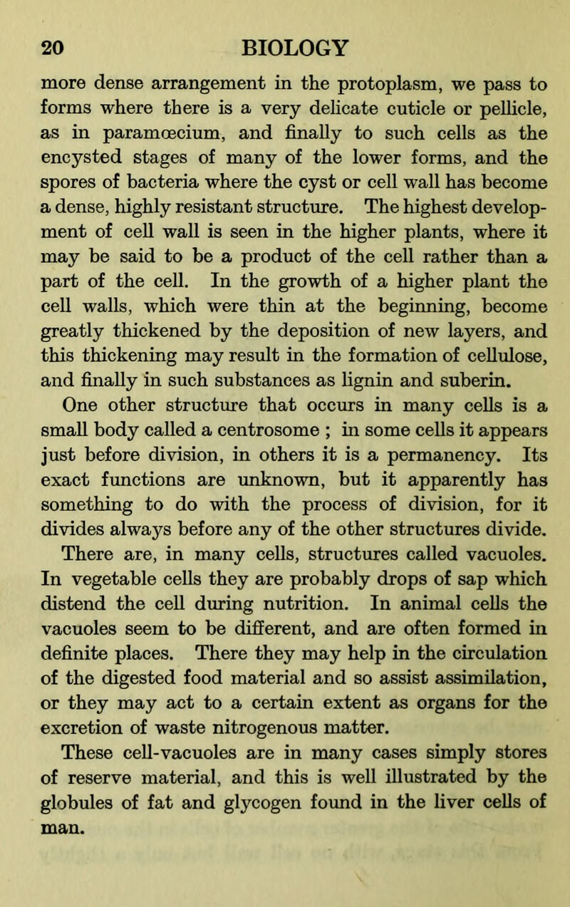 more dense arrangement in the protoplasm, we pass to forms where there is a very delicate cuticle or pellicle, as in paramoecium, and finally to such cells as the encysted stages of many of the lower forms, and the spores of bacteria where the cyst or cell wall has become a dense, highly resistant structure. The highest develop- ment of cell wall is seen in the higher plants, where it may be said to be a product of the cell rather than a part of the cell. In the growth of a higher plant the cell walls, which were thin at the beginning, become greatly thickened by the deposition of new layers, and this thickening may result in the formation of cellulose, and finally in such substances as lignin and suberin. One other structure that occurs in many cells is a small body called a centrosome ; in some cells it appears just before division, in others it is a permanency. Its exact functions are unknown, but it apparently has something to do with the process of division, for it divides always before any of the other structures divide. There are, in many cells, structures called vacuoles. In vegetable cells they are probably drops of sap which distend the cell during nutrition. In animal cells the vacuoles seem to be different, and are often formed in definite places. There they may help in the circulation of the digested food material and so assist assimilation, or they may act to a certain extent as organs for the excretion of waste nitrogenous matter. These cell-vacuoles are in many cases simply stores of reserve material, and this is well illustrated by the globules of fat and glycogen found in the liver cells of man.
