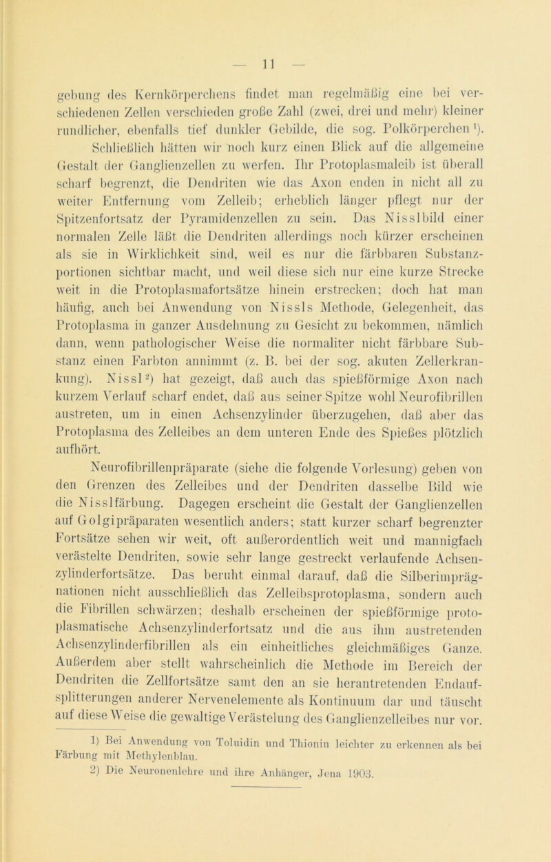 gebung des Kernkörperchens findet man regelmäßig eine hei ver- schiedenen Zellen verschieden große Zahl (zwei, drei und mehr) kleiner rundlicher, ebenfalls tief dunkler Gebilde, die sog. Polkörperchen >). Schließlich hätten wir noch kurz einen Blick auf die allgemeine Gestalt der Ganglienzellen zu werfen. Ihr Protoplasmaleib ist überall scharf begrenzt, die Dendriten wie das Axon enden in nicht all zu weiter Entfernung vom Zelleib; erheblich länger pflegt nur der Spitzenfortsatz der Pyramidenzellen zu sein. Das Nisslbild einer normalen Zelle läßt die Dendriten allerdings noch kürzer erscheinen als sie in Wirklichkeit sind, weil es nur die färbbaren Substanz- portionen sichtbar macht, und weil diese sich nur eine kurze Strecke weit in die Protoplasmafortsätze hinein erstrecken; doch hat man häufig, auch bei Anwendung von Nissls Methode, Gelegenheit, das Protoplasma in ganzer Ausdehnung zu Gesicht zu bekommen, nämlich dann, wenn pathologischer Weise die normaliter nicht färbbare Sub- stanz einen Farbton annimmt (z. B. bei der sog. akuten Zellerkran- kung). Nissl2) hat gezeigt, daß auch das spießförmige Axon nach kurzem Verlauf scharf endet, daß aus seiner Spitze wohl Neurofibrillen austreten, um in einen Achsenzylinder überzugehen, daß aber das Protoplasma des Zelleibes an dem unteren Ende des Spießes plötzlich aufhört. Neurofibrillenpräparate (siehe die folgende Vorlesung) geben von den Grenzen des Zelleibes und der Dendriten dasselbe Bild wie die Nisslfärbung. Dagegen erscheint die Gestalt der Ganglienzellen auf Golgipräparaten wesentlich anders; statt kurzer scharf begrenzter Fortsätze sehen wir weit, oft außerordentlich weit und mannigfach verästelte Dendriten, sowie sehr lange gestreckt verlaufende Achsen- zylinderfortsätze. Das beruht einmal darauf, daß die Silberimpräg- nationen nicht ausschließlich das Zelleibsprotoplasma, sondern auch die Fibrillen schwärzen; deshalb erscheinen der spießförmige proto- plasmatische Achsenzylinderfortsatz und die aus ihm austretenden Achsenzylinderfibrillen als ein einheitliches gleichmäßiges Ganze. Außerdem aber stellt wahrscheinlich die Methode im Bereich der Dendriten die Zellfortsätze samt den an sie herantretenden Endauf- splitterungen anderer Nervenelemente als Kontinuum dar und täuscht auf diese Weise die gewaltige Verästelung des Ganglienzelleibes nur vor. 3) Bei Anwendung von Toluidin und Thionin leichter zu erkennen als bei Färbung mit Methylenblau. 2) Die Neuronenlehre und ihre Anhänger, Jena 1903.