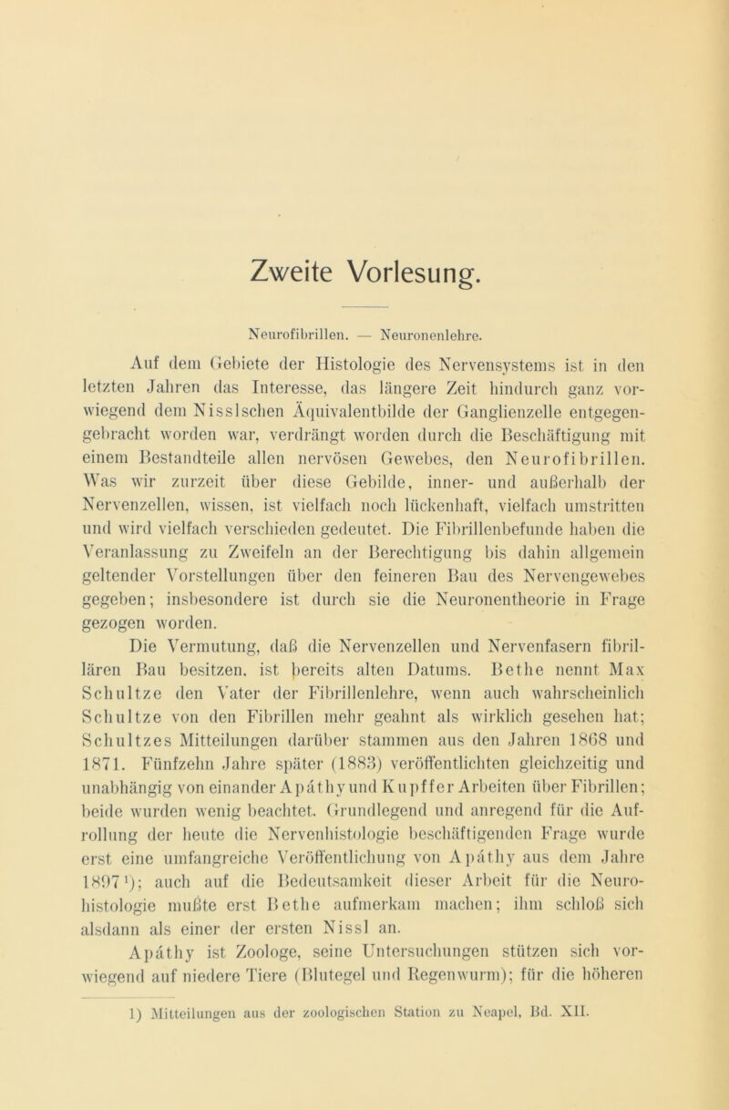 Zweite Vorlesung. Neurofibrillen. — Neuronenlehre. Auf dem Gebiete der Histologie des Nervensystems ist in den letzten Jahren das Interesse, das längere Zeit hindurch ganz vor- wiegend dem Nisslsehen Äquivalentbilde der Ganglienzelle entgegen- gebracht worden war, verdrängt worden durch die Beschäftigung mit einem Bestandteile allen nervösen Gewebes, den Neurofibrillen. Was wir zurzeit über diese Gebilde, inner- und außerhalb der Nervenzellen, wissen, ist vielfach noch lückenhaft, vielfach umstritten und wird vielfach verschieden gedeutet. Die Fibrillenbefunde haben die Veranlassung zu Zweifeln an der Berechtigung bis dahin allgemein geltender Vorstellungen über den feineren Bau des Nervengewebes gegeben; insbesondere ist durch sie die Neuronentheorie in Frage gezogen worden. Die Vermutung, daß die Nervenzellen und Nervenfasern fibril- lären Bau besitzen, ist bereits alten Datums. Bethe nennt Max Schnitze den Vater der Fibrillenlehre, wenn auch wahrscheinlich Schnitze von den Fibrillen mehr geahnt als wirklich gesehen hat; Schultzes Mitteilungen darüber stammen aus den Jahren 1868 und 1871. Fünfzehn Jahre später (1883) veröffentlichten gleichzeitig und unabhängig von einander Apäthyund Kupffer Arbeiten über Fibrillen; beide wurden wenig beachtet. Grundlegend und anregend für die Auf- rollung der heute die Nervenhistologie beschäftigenden Frage wurde erst eine umfangreiche Veröffentlichung von Apäthy aus dem Jahre 1K971); auch auf die Bedeutsamkeit dieser Arbeit für die Neuro- histologie mußte erst Bethe aufmerkam machen; ihm schloß sich alsdann als einer der ersten Nissl an. Apäthy ist Zoologe, seine Untersuchungen stützen sich vor- wiegend auf niedere Tiere (Blutegel und Regenwurm); für die höheren