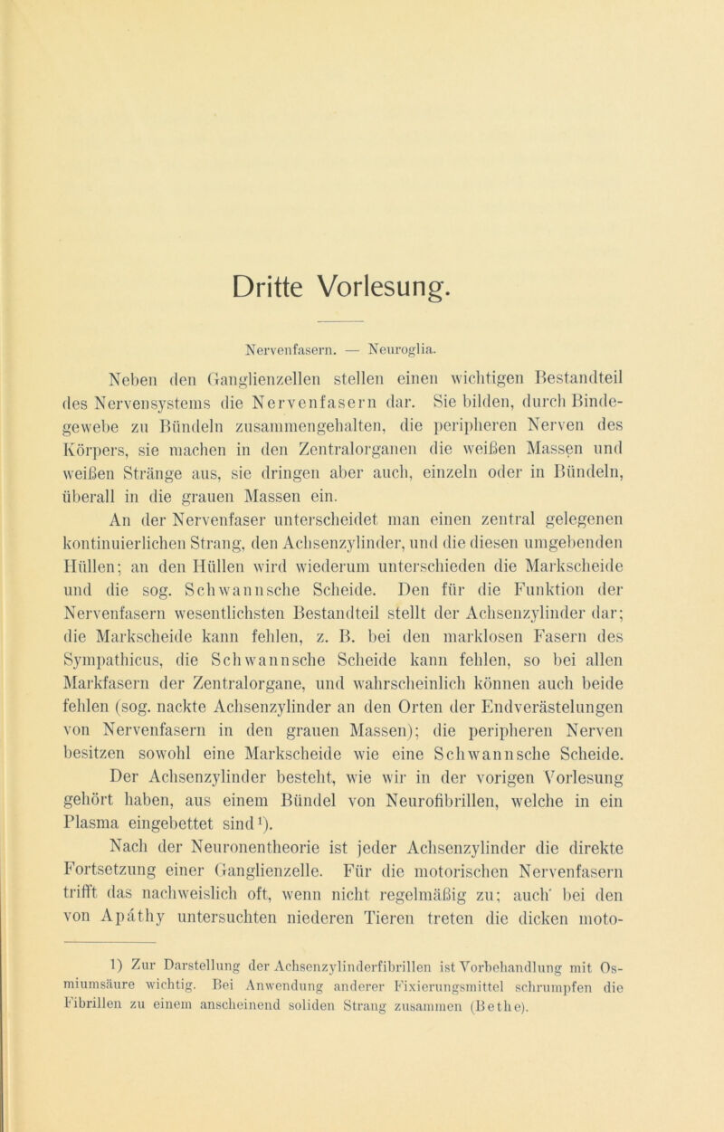 Dritte Vorlesung. Nervenfasern. — Neuroglia. Neben den Ganglienzellen stellen einen wichtigen Bestandteil des Nervensystems die Nervenfasern dar. Sie bilden, durch Binde- gewebe zn Bündeln zusammengehalten, die peripheren Nerven des Körpers, sie machen in den Zentralorganen die weißen Massen und weißen Stränge ans, sie dringen aber auch, einzeln oder in Bündeln, überall in die grauen Massen ein. An der Nervenfaser unterscheidet man einen zentral gelegenen kontinuierlichen Strang, den Achsenzylinder, und die diesen umgebenden Hüllen; an den Hüllen wird wiederum unterschieden die Markscheide und die sog. Sch wann sehe Scheide. Den für die Funktion der Nervenfasern wesentlichsten Bestandteil stellt der Achsenzylinder dar; die Markscheide kann fehlen, z. B. bei den marklosen Fasern des Sympathicus, die Sch wann sehe Scheide kann fehlen, so bei allen Markfasern der Zentralorgane, und wahrscheinlich können auch beide fehlen (sog. nackte Achsenzylinder an den Orten der Endverästelungen von Nervenfasern in den grauen Massen); die peripheren Nerven besitzen sowohl eine Markscheide wie eine Sch wann sehe Scheide. Der Achsenzylinder besteht, wie wir in der vorigen Vorlesung gehört haben, aus einem Bündel von Neurofibrillen, welche in ein Plasma eingebettet sind1). Nach der Neuronentheorie ist jeder Achsenzylinder die direkte Fortsetzung einer Ganglienzelle. Für die motorischen Nervenfasern trifft das nachweislich oft, wenn nicht regelmäßig zu; auch' bei den von Apäthy untersuchten niederen Tieren treten die dicken moto- 1) Zur Darstellung der Achsenzylinderfibrillen ist Vorbehandlung mit Os- miumsäure wichtig. Bei Anwendung anderer Fixierungsmittel schrumpfen die Fibrillen zu einem anscheinend soliden Strang zusammen (B etlic).