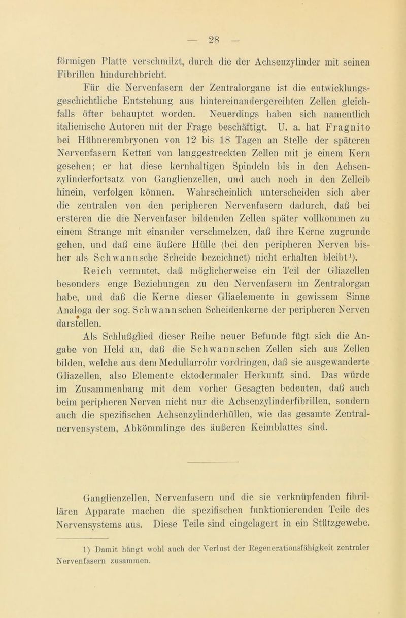 förmigen Platte verschmilzt, durch die der Achsenzylinder mit seinen Fibrillen hindurchbricht. Für die Nervenfasern der Zentralorgane ist die entwicklungs- geschichtliche Entstehung aus hintereinandergereihten Zellen gleich- falls öfter behauptet worden. Neuerdings haben sich namentlich italienische Autoren mit der Frage beschäftigt. U. a. hat Fragnito bei Hühnerembryonen von 12 bis 18 Tagen an Stelle der späteren Nervenfasern Ketten von langgestreckten Zellen mit je einem Kern gesehen; er hat diese kernhaltigen Spindeln bis in den Achsen- zylinderfortsatz von Ganglienzellen, und auch noch in den Zelleib hinein, verfolgen können. Wahrscheinlich unterscheiden sich aber die zentralen von den peripheren Nervenfasern dadurch, daß bei ersteren die die Nervenfaser bildenden Zellen später vollkommen zu einem Strange mit einander verschmelzen, daß ihre Kerne zugrunde gehen, und daß eine äußere Hülle (bei den peripheren Nerven bis- her als Sch wann sehe Scheide bezeichnet) nicht erhalten bleibt1). Reich vermutet, daß möglicherweise ein Teil der Gliazellen besonders enge Beziehungen zu den Nervenfasern im Zentralorgan habe, und daß die Kerne dieser Gliaelemente in gewissem Sinne Analoga der sog. Sch wannschen Scheidenkerne der peripheren Nerven * darstellen. Als Schlußglied dieser Reihe neuer Befunde fügt sich die An- gabe von Held an, daß die Schwannschen Zellen sich aus Zellen bilden, welche aus dem Medullarrohr Vordringen, daß sie ausgewanderte Gliazellen, also Elemente ektodcrmaler Herkunft sind. Das würde im Zusammenhang mit dem vorher Gesagten bedeuten, daß auch beim peripheren Nerven nicht nur die Achsenzylinderfibrillen, sondern auch die spezifischen Achsenzylinderhüllen, wie das gesamte Zentral- nervensystem, Abkömmlinge des äußeren Keimblattes sind. Ganglienzellen, Nervenfasern und die sie verknüpfenden fibril- lären Apparate machen die spezifischen funktionierenden Teile des Nervensystems aus. Diese Teile sind eingelagert in ein Stützgewebe. 1) Damit hängt wohl auch der Verlust der Regenerationsfähigkeit zentraler Nervenfasern zusammen.