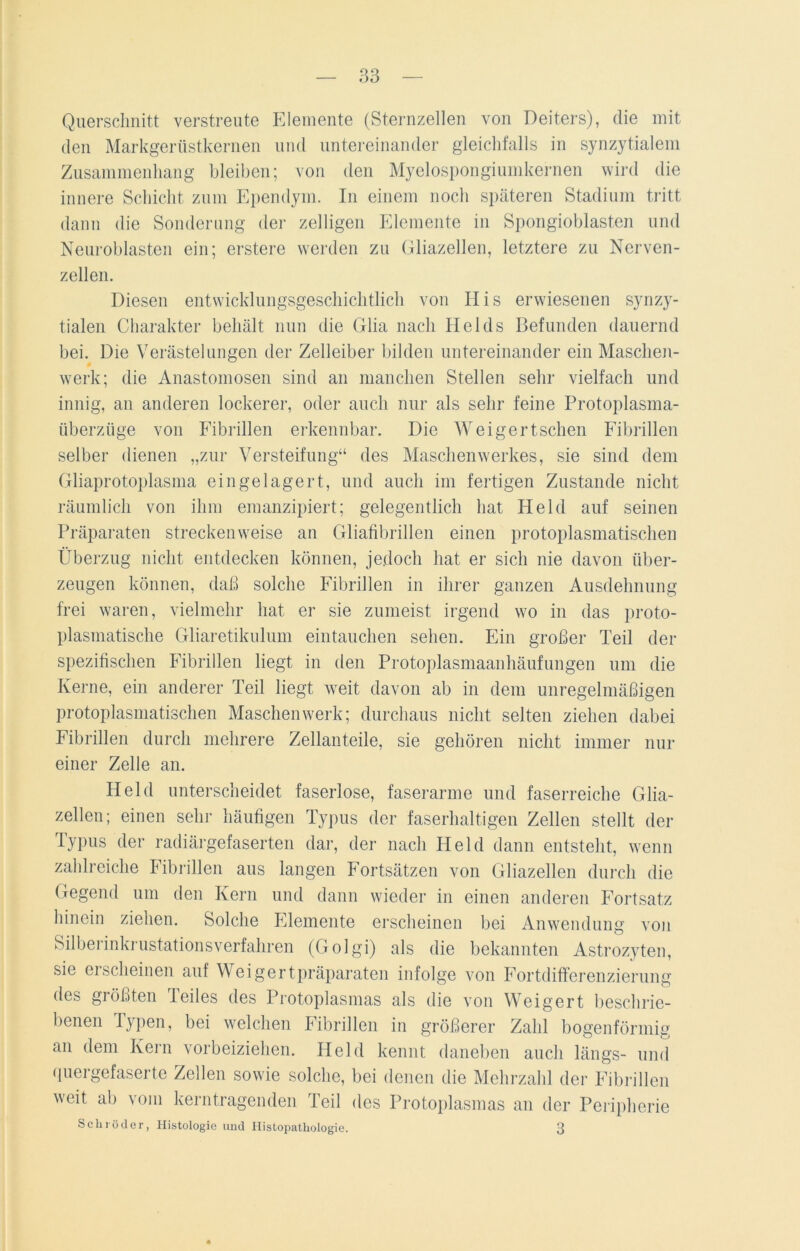 Querschnitt verstreute Elemente (Sternzellen von Deiters), die mit den Markgerüstkernen und untereinander gleichfalls in synzytialem Zusammenhang bleiben; von den Myelospongiumkernen wird die innere Schicht zum Ependym. In einem noch späteren Stadium tritt dann die Sonderung der zelligen Elemente in Spongioblasten und Neuroblasten ein; erstere werden zu Gliazellen, letztere zu Nerven- zellen. Diesen entwicklungsgeschichtlich von II is erwiesenen synzy- tialen Charakter behält nun die Glia nach Ilelds Befunden dauernd bei. Die Verästelungen der Zelleiber bilden untereinander ein Maschen- werk; die Anastomosen sind an manchen Stellen sehr vielfach und innig, an anderen lockerer, oder auch nur als sehr feine Protoplasma- überzüge von Fibrillen erkennbar. Die Weigertschen Fibrillen selber dienen „zur Versteifung“ des Maschen Werkes, sie sind dem Gliaprotoplasma eingelagert, und auch im fertigen Zustande nicht räumlich von ihm emanzipiert; gelegentlich hat Held auf seinen Präparaten streckenweise an Gliafibrillen einen protoplasmatischen Überzug nicht entdecken können, jedoch hat er sich nie davon über- zeugen können, daß solche Fibrillen in ihrer ganzen Ausdehnung frei waren, vielmehr hat er sie zumeist irgend wo in das proto- plasmatische Gliaretikulum eintauchen sehen. Ein großer Teil der spezifischen Fibrillen liegt in den Protoplasmaanhäufungen um die Kerne, ein anderer Teil liegt weit davon ab in dem unregelmäßigen protoplasmatischen Maschen werk; durchaus nicht selten ziehen dabei Fibrillen durch mehrere Zellanteile, sie gehören nicht immer nur einer Zelle an. Held unterscheidet faserlose, faserarme und faserreiche Glia- zellen; einen sehr häufigen Typus der faserhaltigen Zellen stellt der Typus der radiärgefaserten dar, der nach Held dann entsteht, wenn zahlreiche Fibrillen aus langen Fortsätzen von Gliazellen durch die Gegend um den Kern und dann wieder in einen anderen Fortsatz hinein ziehen. Solche Elemente erscheinen bei Anwendung von Silberinkrustationsverfahren (Golgi) als die bekannten Astrozyten, sie erscheinen auf Weigertpräparatcn infolge von Fortdifferenzierung des größten Teiles des Protoplasmas als die von Weigert beschrie- benen Typen, bei welchen Fibrillen in größerer Zahl bogenförmig an dem Kern vorbeiziehen. Held kennt daneben auch längs- und quergefaserte Zellen sowie solche, bei denen die Mehrzahl der Fibrillen weit ab vom kerntragenden Teil des Protoplasmas an der Peripherie Schröder, Histologie und Histopathologie. 3