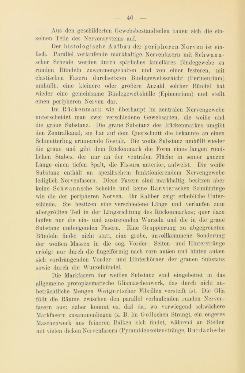 Aus den geschilderten Gewebsbestandteilen bauen sich die ein- zelnen Teile des Nervensystems auf. Der histologische Aufbau der peripheren Nerven ist ein- fach. Parallel verlaufende markhaltige Nervenfasern mit Schwann - scher Scheide werden durch spärliches lamellares Bindegewebe zu runden Bündeln zusammengehalten und von einer festeren, mit elastischen Fasern durchsetzten Bindegewebsschicht (Perineurium) umhüllt; eine kleinere oder größere Anzahl solcher Bündel hat wieder eine gemeinsame Bindegewebshülle (Epineurium) und stellt einen peripheren Nerven dar. Im Rückenmark wie überhaupt im zentralen Nervengewebe unterscheidet man zwei verschiedene Gewebsarten, die weiße und die graue Substanz. Die graue Substanz des Rückenmarkes umgibt den Zentralkanal, sie hat auf dem Querschnitt die bekannte an einen Schmetterling erinnernde Gestalt. Die weiße Substanz umhüllt wieder die graue und gibt dem Rückenmark die Form eines langen rund- lichen Stabes, der nur an der ventralen Fläche in seiner ganzen Länge einen tiefen Spalt, die Fissura anterior, aufweist. Die weiße Substanz enthält an spezifischem funktionierendem Nervengewebe lediglich Nervenfasern. Diese Fasern sind markhaltig, besitzen aber keine Schwannsche Scheide und keine Ranvierschen Schnürringe wie die der peripheren Nerven. Ihr Kaliber zeigt erhebliche Unter- schiede. Sie besitzen eine verschiedene Länge und verlaufen zum allergrößten Teil in der Längsrichtung des Rückenmarkes; quer dazu laufen nur die ein- und austretenden Wurzeln und die in die graue Substanz umbiegenden Fasern. Eine Gruppierung zu abgegrenzten Bündeln findet nicht statt, eine grobe, unvollkommene Sonderung der weißen Massen in die sog. Vorder-, Seiten- und Hinterstränge erfolgt nur durch die flügelförmig nach vorn außen und hinten außen sich vordrängenden Vorder- und Hinterhörner der grauen Substanz sowie durch die Wurzelbündel. Die Markfasern der weißen Substanz sind eingebettet in das allgemeine protoplasmatische Gliamaschenwerk, das durch nicht un- beträchtliche Mengen Weigertscher Fibrillen versteift ist. Die Glia füllt die Räume zwischen den parallel verlaufenden runden Nerven- fasern aus; daher kommt es, daß da, wo vorwiegend schwächere Markfasern zusammenliegen (z. B. im G oll sehen Strang), ein engeres Maschenwerk aus feineren Balken sich findet, während an Stellen mit vielen dicken Nervenfasern (Pyramidenseitenstränge, Burdachsche