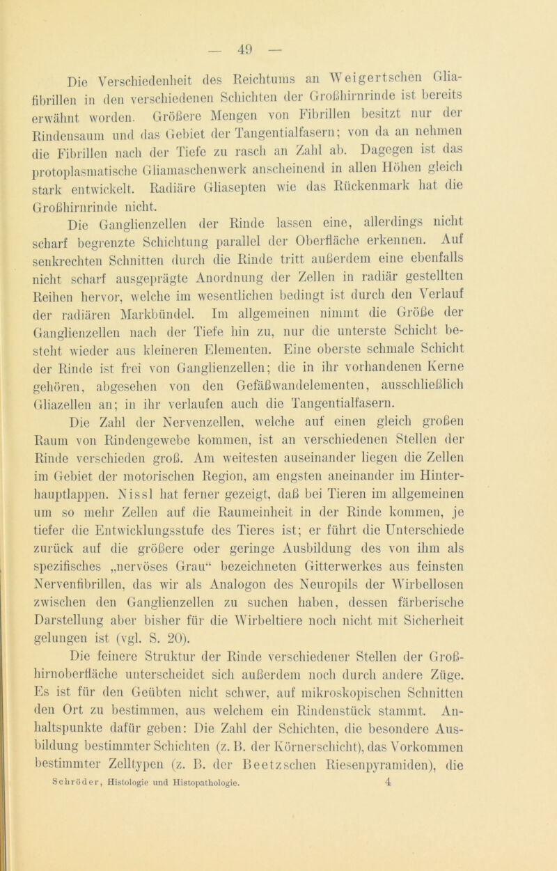 Die Verschiedenheit des Reichtums an Weigertschen Glia- fibrillen in den verschiedenen Schichten der Großhirnrinde ist bereits erwähnt worden. Größere Mengen von Fibrillen besitzt nur der Rindensaum und das Gebiet der Tangential fasern; von da an nehmen die Fibrillen nach der Tiefe zu rasch an Zahl ab. Dagegen ist das protoplasmatische Gliamaschenwerk anscheinend in allen Höhen gleich stark entwickelt. Radiäre Gliasepten wie das Rückenmark hat die Großhirnrinde nicht. Die Ganglienzellen der Rinde lassen eine, allerdings nicht scharf begrenzte Schichtung parallel der Oberfläche erkennen. Auf senkrechten Schnitten durch die Rinde tritt außerdem eine ebenfalls nicht scharf ausgeprägte Anordnung der Zellen in radiär gestellten Reihen hervor, welche im wesentlichen bedingt ist durch den Verlauf der radiären Markbündel. Im allgemeinen nimmt die Größe der Ganglienzellen nach der Tiefe hin zu, nur die unterste Schicht be- steht wieder aus kleineren Elementen. Eine oberste schmale Schicht der Rinde ist frei von Ganglienzellen; die in ihr vorhandenen Kerne gehören, abgesehen von den Gefäßwandelementen, ausschließlich Gliazellen an; in ihr verlaufen auch die Tangentialfasern. Die Zahl der Nervenzellen, welche auf einen gleich großen Raum von Rindengewebe kommen, ist an verschiedenen Stellen der Rinde verschieden groß. Am weitesten auseinander liegen die Zellen im Gebiet der motorischen Region, am engsten aneinander im Hinter- hauptlappen. Nissl hat ferner gezeigt, daß bei Tieren im allgemeinen um so mehr Zellen auf die Raumeinheit in der Rinde kommen, je tiefer die Entwicklungsstufe des Tieres ist; er führt die Unterschiede zurück auf die größere oder geringe Ausbildung des von ihm als spezifisches „nervöses Grau“ bezeichnten Gitterwerkes aus feinsten Nervenfibrillen, das wir als Analogon des Neuropils der Wirbellosen zwischen den Ganglienzellen zu suchen haben, dessen färberische Darstellung aber bisher für die Wirbeltiere noch nicht mit Sicherheit gelungen ist (vgl. S. 20). Die feinere Struktur der Rinde verschiedener Stellen der Groß- hirnoberfläche unterscheidet sich außerdem noch durch andere Züge. Es ist für den Geübten nicht schwer, auf mikroskopischen Schnitten den Ort zu bestimmen, aus welchem ein Rindenstück stammt. An- haltspunkte dafür geben: Die Zahl der Schichten, die besondere Aus- bildung bestimmter Schichten (z. B. der Körnerschicht), das Vorkommen bestimmter Zell typen (z. B. der Beetz sehen Riesenpyramiden), die Schröder, Histologie und Histopathologie. 4