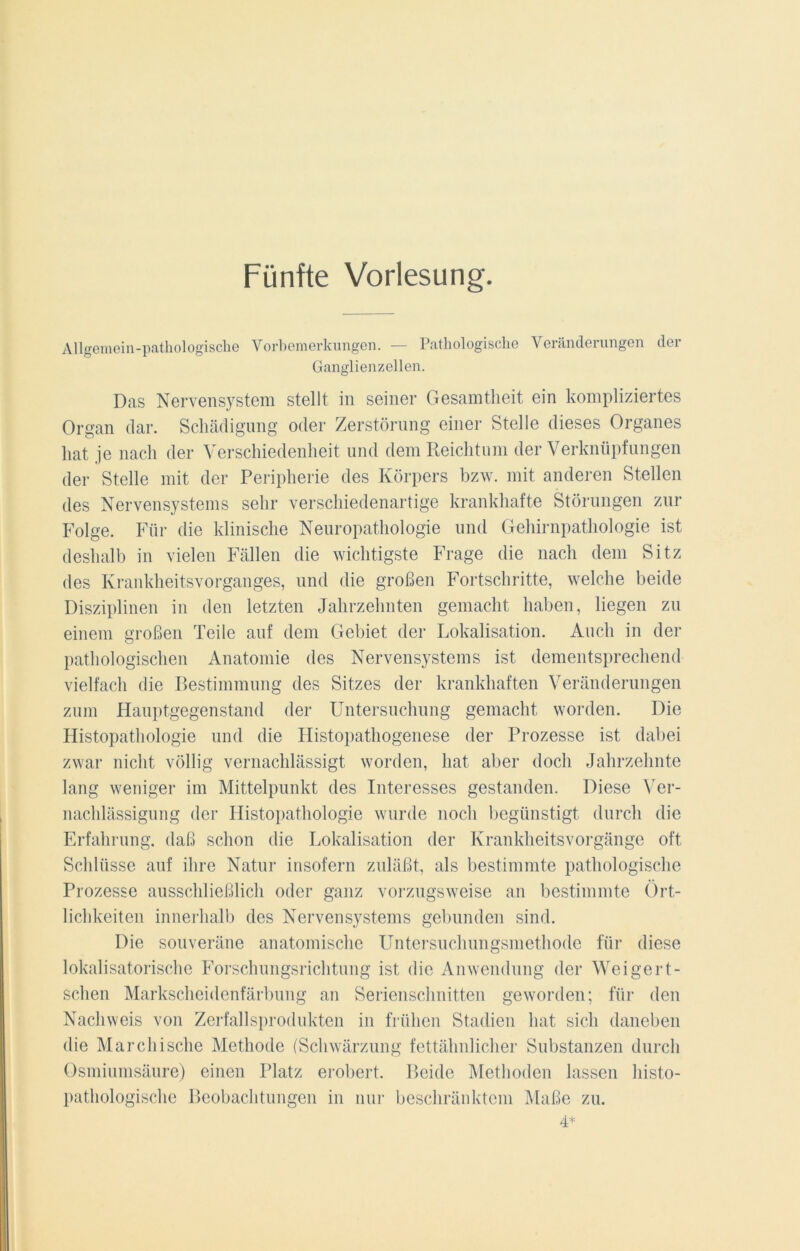 Fünfte Vorlesung. Allgemein-pathologische Vorbemerkungen. — Pathologische Veränderungen der Ganglienzellen. Das Nervensystem stellt in seiner Gesamtheit ein kompliziertes Organ dar. Schädigung oder Zerstörung einer Stelle dieses Organes hat je nach der Verschiedenheit und dem Reichtum der Verknüpfungen der Stelle mit der Peripherie des Körpers bzw. mit anderen Stellen des Nervensystems sehr verschiedenartige krankhafte Störungen zur Folge. Für die klinische Neuropathologie und Gehirnpathologie ist deshalb in vielen Fällen die wichtigste Frage die nach dem Sitz des Krankheitsvorganges, und die großen Fortschritte, welche beide Disziplinen in den letzten Jahrzehnten gemacht haben, liegen zu einem großen Teile auf dem Gebiet der Lokalisation. Auch in der pathologischen Anatomie des Nervensystems ist dementsprechend vielfach die Bestimmung des Sitzes der krankhaften Veränderungen zum Hauptgegenstand der Untersuchung gemacht worden. Die Histopathologie und die Ilistopathogenese der Prozesse ist dabei zwar nicht völlig vernachlässigt worden, hat aber doch Jahrzehnte lang weniger im Mittelpunkt des Interesses gestanden. Diese Ver- nachlässigung der Histopathologie wurde noch begünstigt durch die Erfahrung, daß schon die Lokalisation der Krankheitsvorgänge oft Schlüsse auf ihre Natur insofern zuläßt, als bestimmte pathologische Prozesse ausschließlich oder ganz vorzugsweise an bestimmte Ört- lichkeiten innerhalb des Nervensystems gebunden sind. Die souveräne anatomische Untersuchungsmethode für diese lokalisatorische Forschungsrichtung ist die Anwendung der Weigert- schen Markscheidenfärbung an Serienschnitten geworden; für den Nachweis von Zerfallsprodukten in frühen Stadien hat sich daneben die Marchische Methode (Schwärzung fettähnlicher Substanzen durch Osmiumsäure) einen Platz erobert. Beide Methoden lassen histo- pathologische Beobachtungen in nur beschränktem Maße zu. 4*