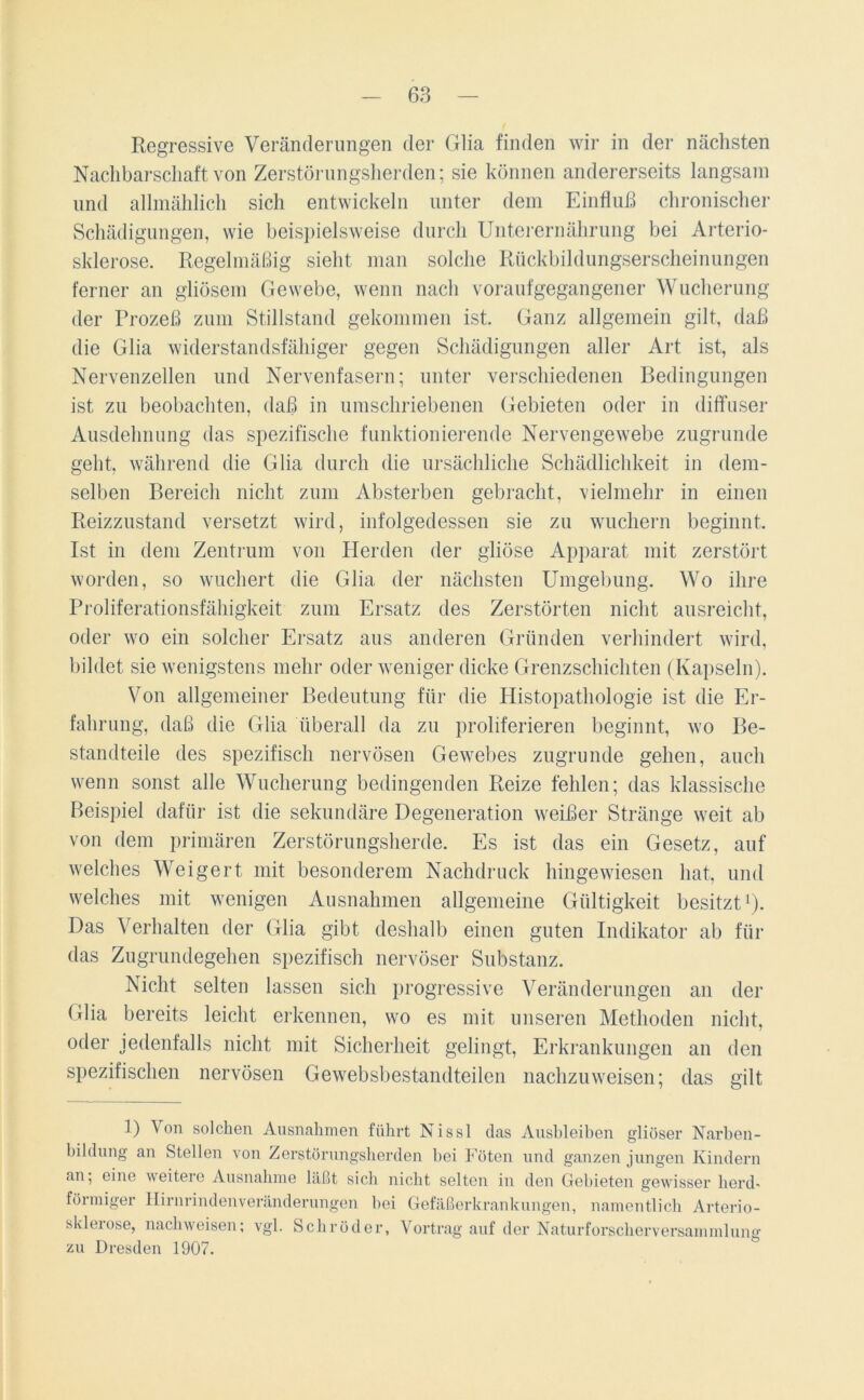Regressive Veränderungen der Glia finden wir in der nächsten Nachbarschaft von Zerstörungsherden; sie können andererseits langsam und allmählich sich entwickeln unter dem Einfluß chronischer Schädigungen, wie beispielsweise durch Unterernährung bei Arterio- sklerose. Regelmäßig sieht man solche Rückbildungserscheinungen ferner an gliösem Gewebe, wenn nach voraufgegangener Wucherung der Prozeß zum Stillstand gekommen ist. Ganz allgemein gilt, daß die Glia widerstandsfähiger gegen Schädigungen aller Art ist, als Nervenzellen und Nervenfasern; unter verschiedenen Bedingungen ist zu beobachten, daß in umschriebenen Gebieten oder in diffuser Ausdehnung das spezifische funktionierende Nervengewebe zugrunde geht, während die Glia durch die ursächliche Schädlichkeit in dem- selben Bereich nicht zum Absterben gebracht, vielmehr in einen Reizzustand versetzt wird, infolgedessen sie zu wuchern beginnt. Ist in dem Zentrum von Herden der gliöse Apparat mit zerstört worden, so wuchert die Glia der nächsten Umgebung. Wo ihre Proliferationsfähigkeit zum Ersatz des Zerstörten nicht ausreicht, oder wo ein solcher Ersatz aus anderen Gründen verhindert wird, bildet sie wenigstens mehr oder weniger dicke Grenzschichten (Kapseln). Von allgemeiner Bedeutung für die Histopathologie ist die Er- fahrung, daß die Glia überall da zu proliferieren beginnt, wo Be- standteile des spezifisch nervösen Gewebes zugrunde gehen, auch wenn sonst alle Wucherung bedingenden Reize fehlen; das klassische Beispiel dafür ist die sekundäre Degeneration weißer Stränge weit ab von dem primären Zerstörungsherde. Es ist das ein Gesetz, auf welches Weigert mit besonderem Nachdruck hingewiesen hat, und welches mit wenigen Ausnahmen allgemeine Gültigkeit besitzt1). Das Verhalten der Glia gibt deshalb einen guten Indikator ab für das Zugrundegehen spezifisch nervöser Substanz. Nicht selten lassen sich progressive Veränderungen an der Glia bereits leicht erkennen, wo es mit unseren Methoden nicht, oder jedenfalls nicht mit Sicherheit gelingt, Erkrankungen an den spezifischen nervösen Gewebsbestandteilen nachzuweisen; das gilt D Von solchen Ausnahmen führt Nissl das Ausbleiben gliöser Narben- bildung an Stellen von Zerstörungsherden bei Föten und ganzen jungen Kindern an; eine weitere Ausnahme läßt sich nicht selten in den Gebieten gewisser herd- förmiger Hirnrindenveränderungen hei Gefäßerkrankungen, namentlich Arterio- sklerose, nachweisen; vgl. Schröder, Vortrag auf der Naturforscherversammlung zu Dresden 1907.